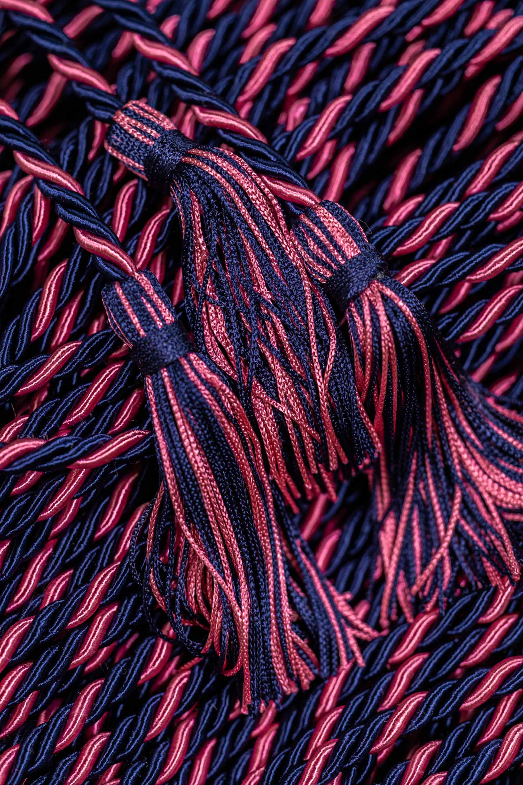Navy Blue, Navy Blue, Hot Pink Graduation Honor Cord