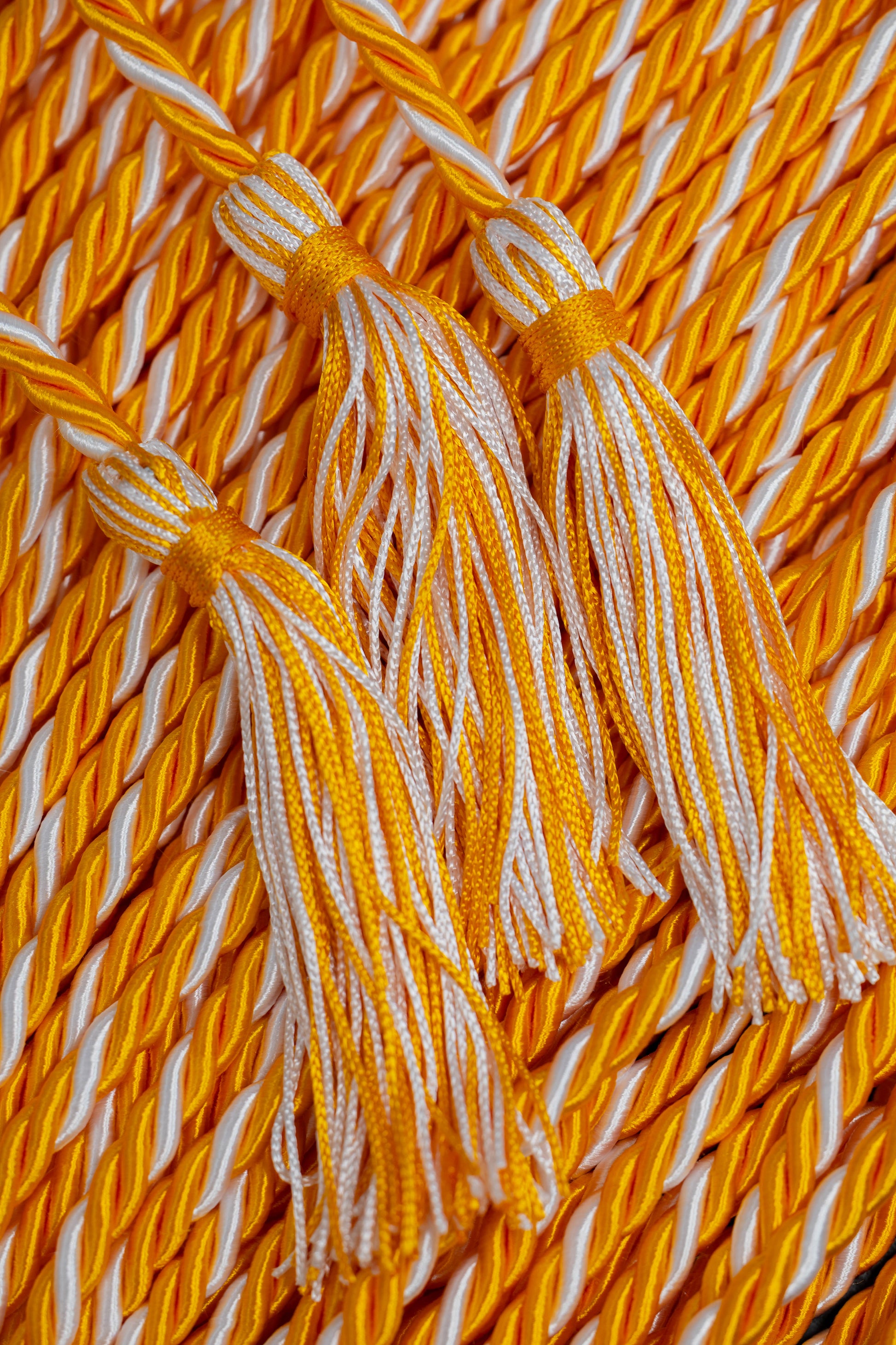 Apricot, Apricot, White Graduation Honor Cord