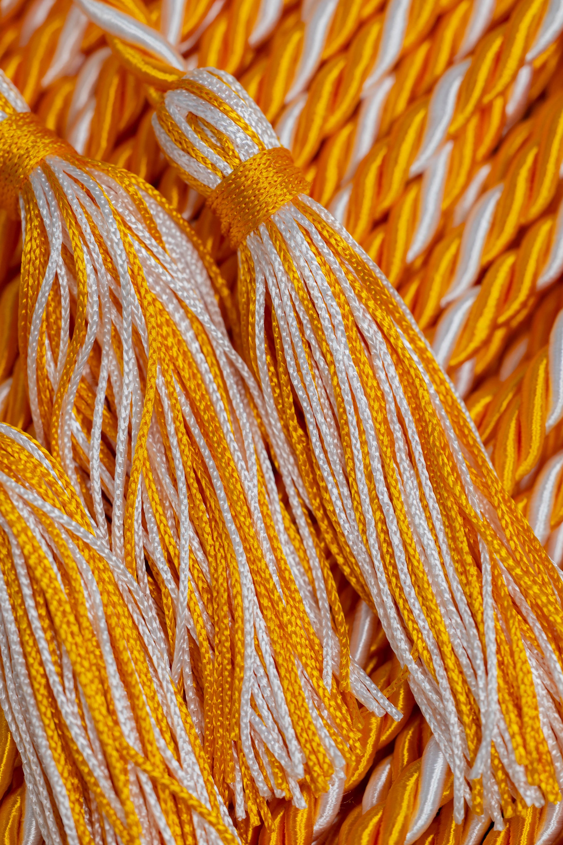 Apricot, Apricot, White Graduation Honor Cord