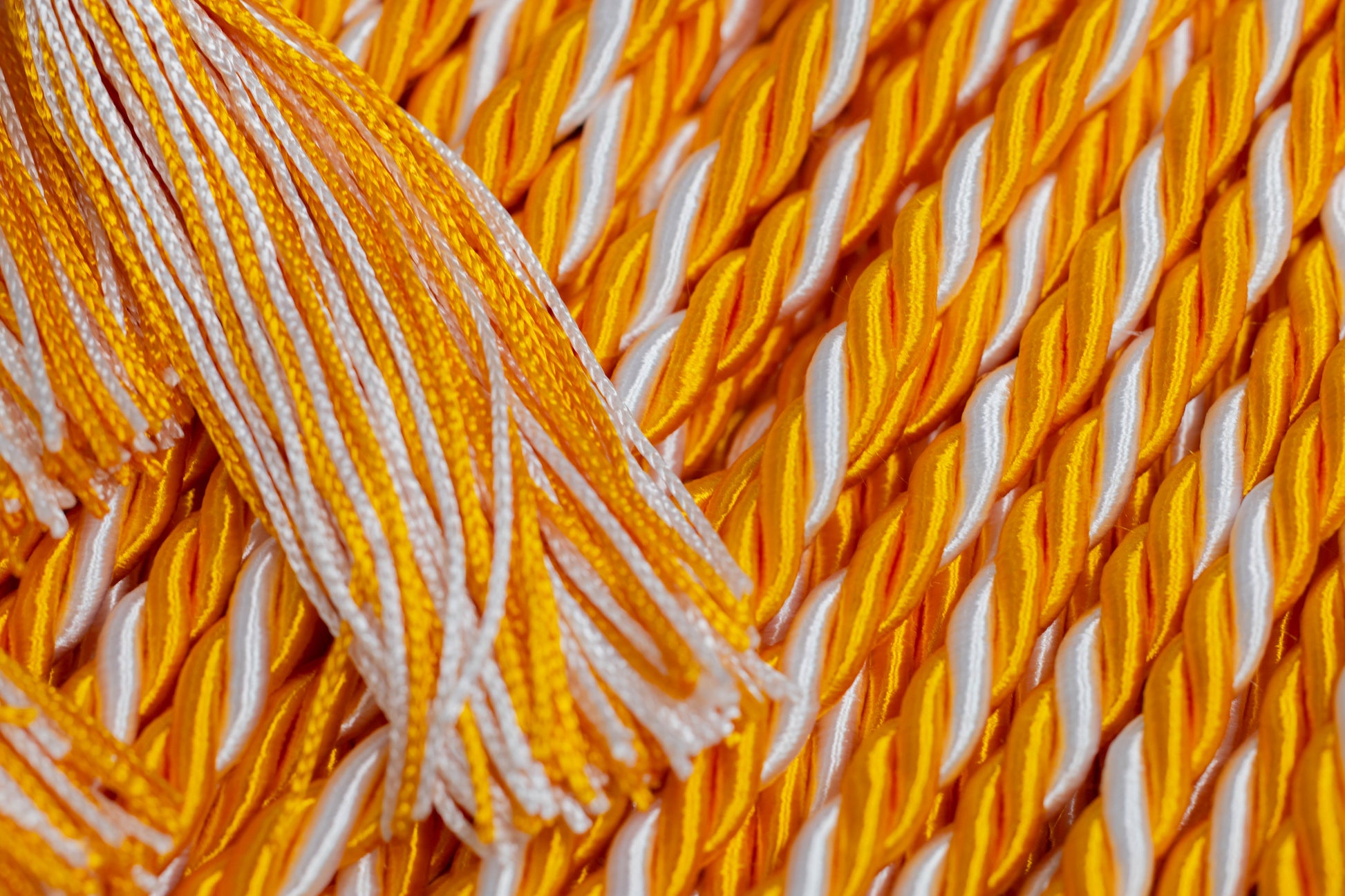 Apricot, Apricot, White Graduation Honor Cord
