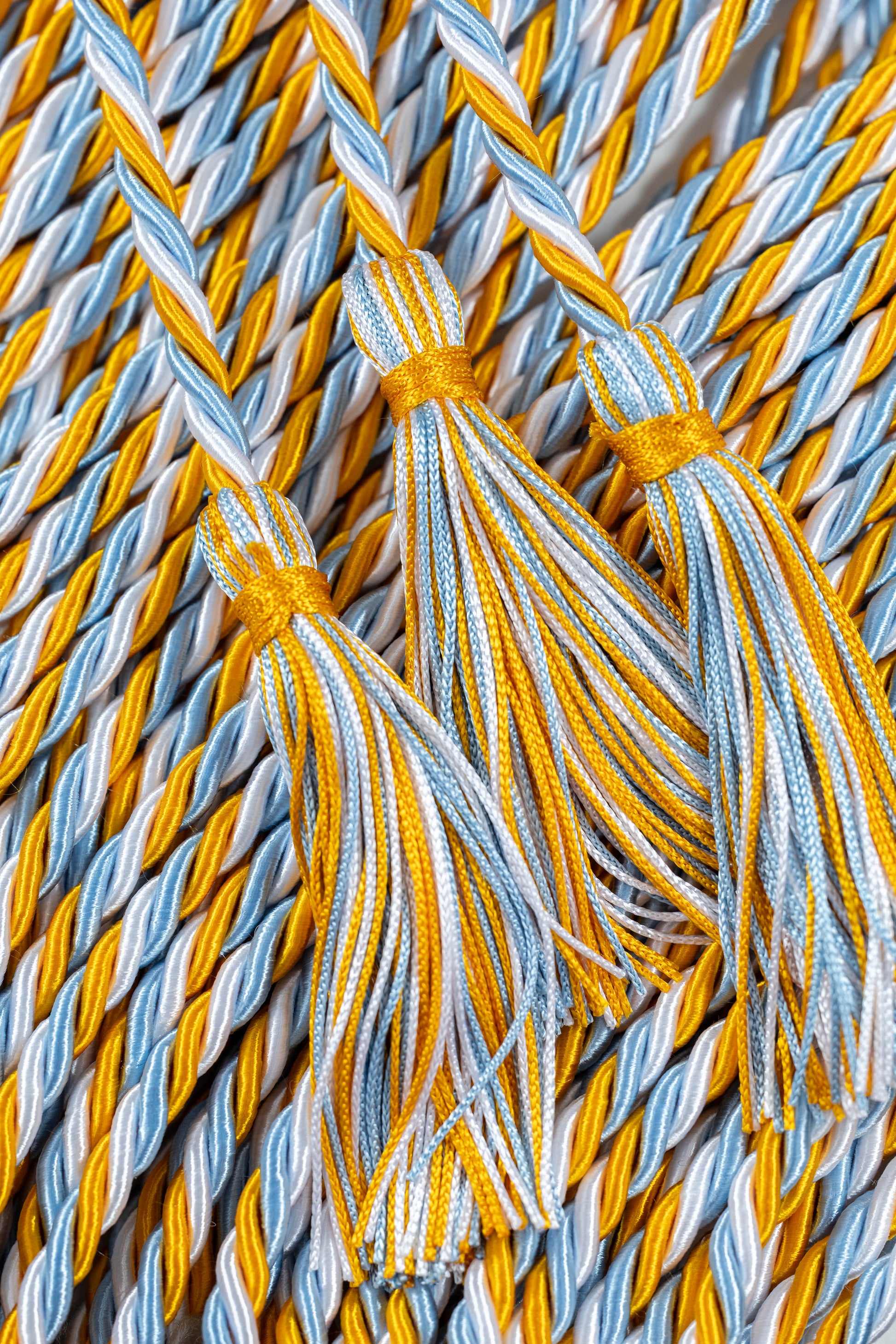 Apricot, Light Blue, White Graduation Honor cord