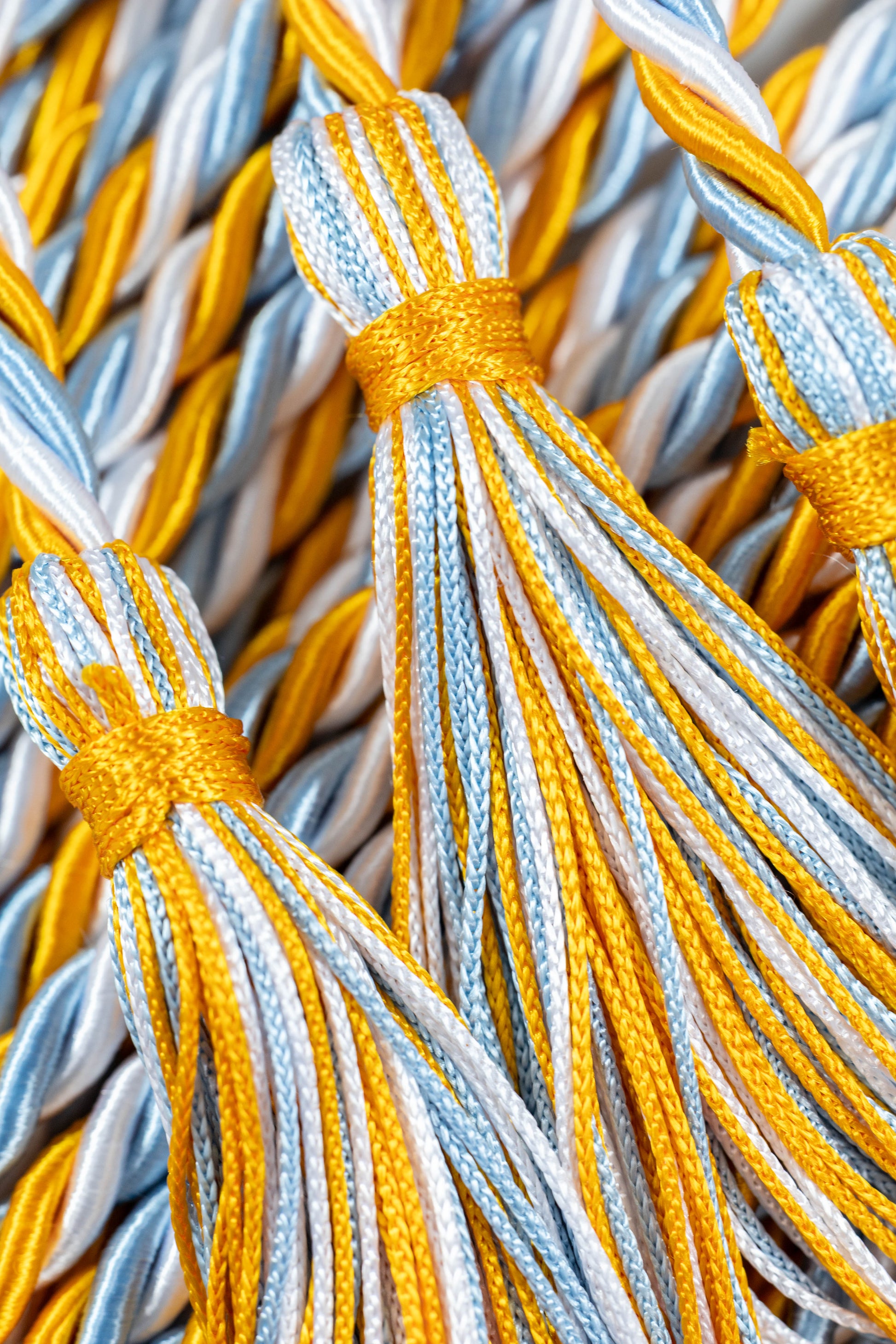 Apricot, Light Blue, White Graduation Honor cord