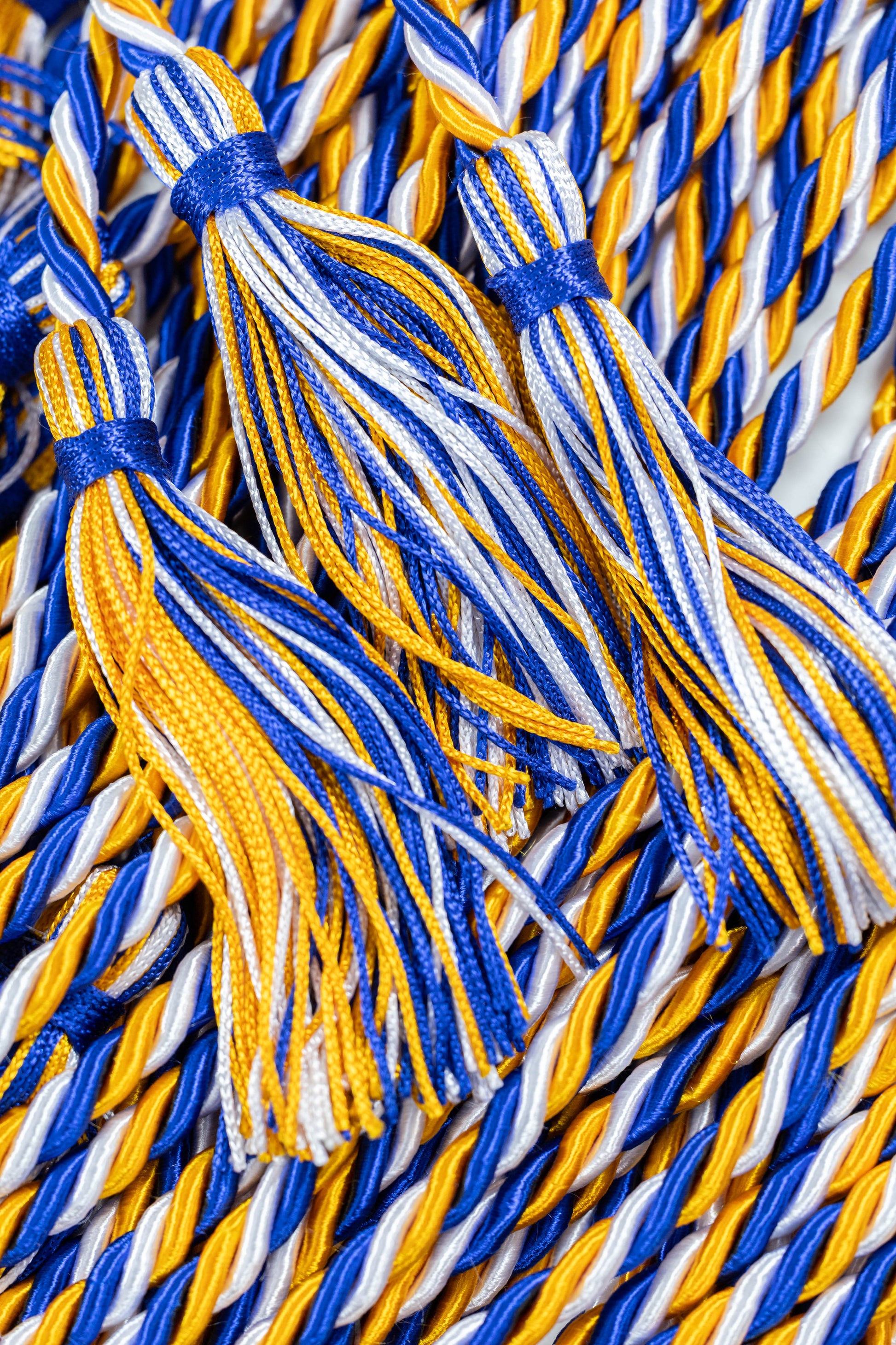 Apricot, Royal Blue, White Graduation Honor cord