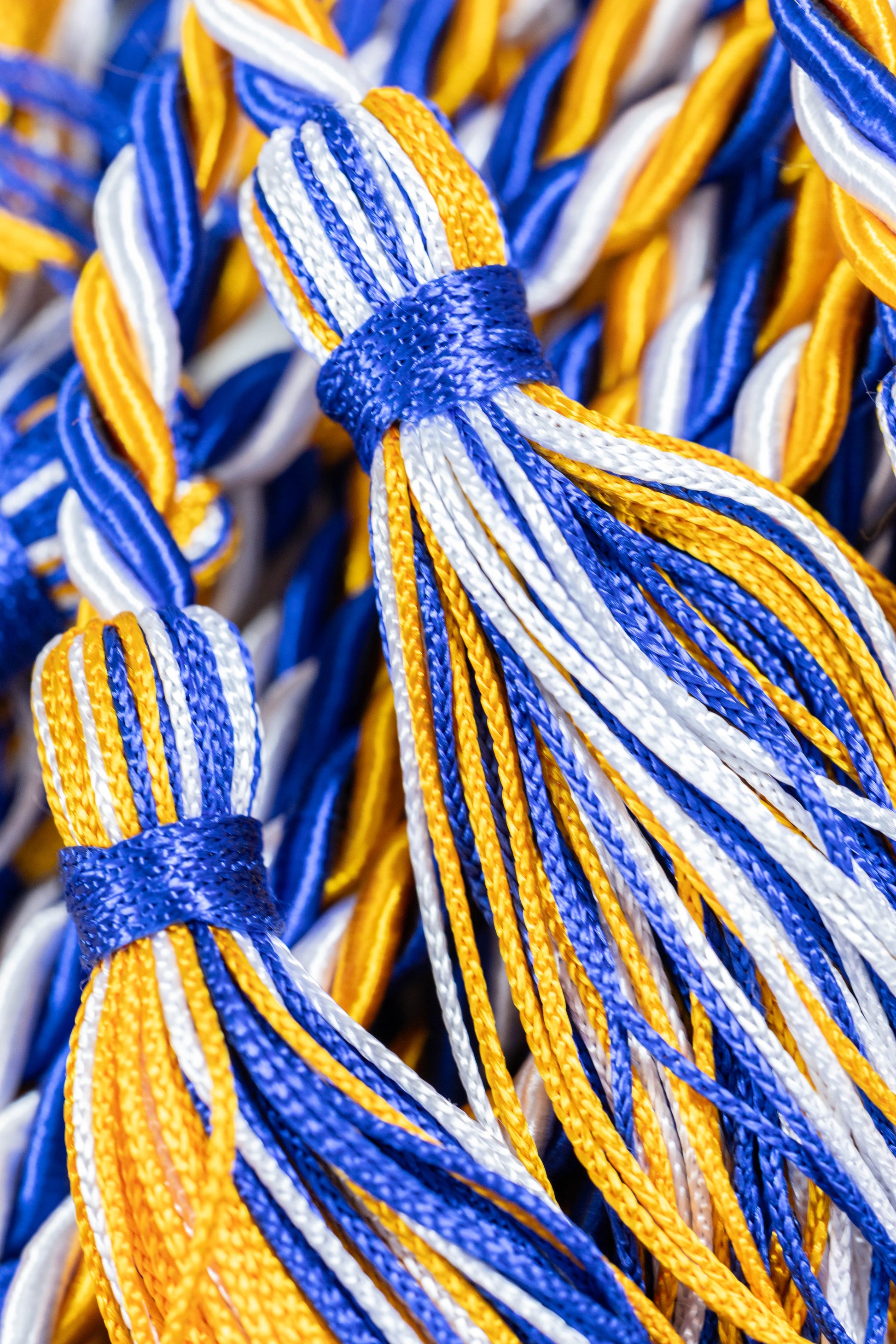 Apricot, Royal Blue, White Graduation Honor cord