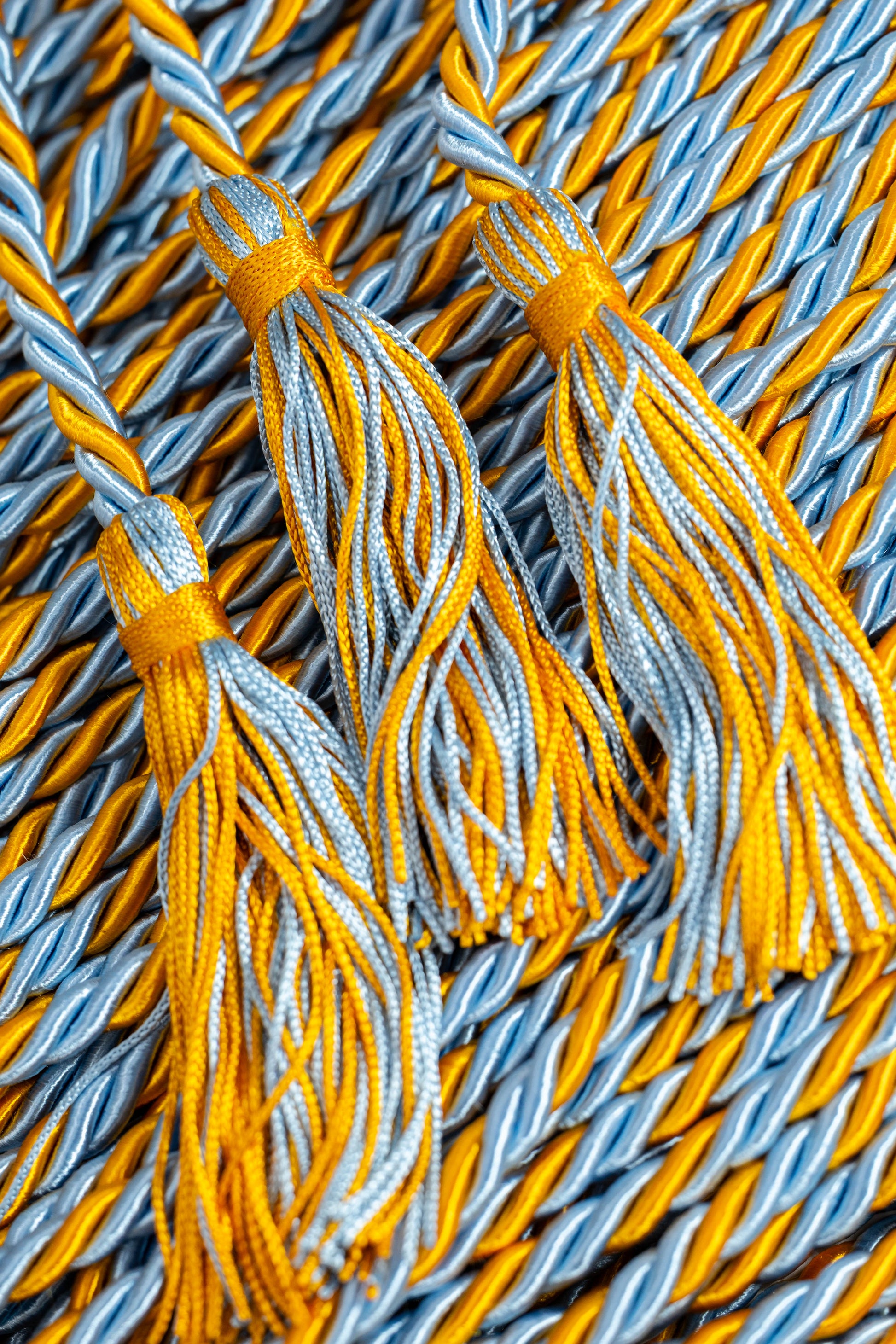 Apricot, Columbia Blue, Columbia Blue Graduation Honor Cord | Columbia University Blue