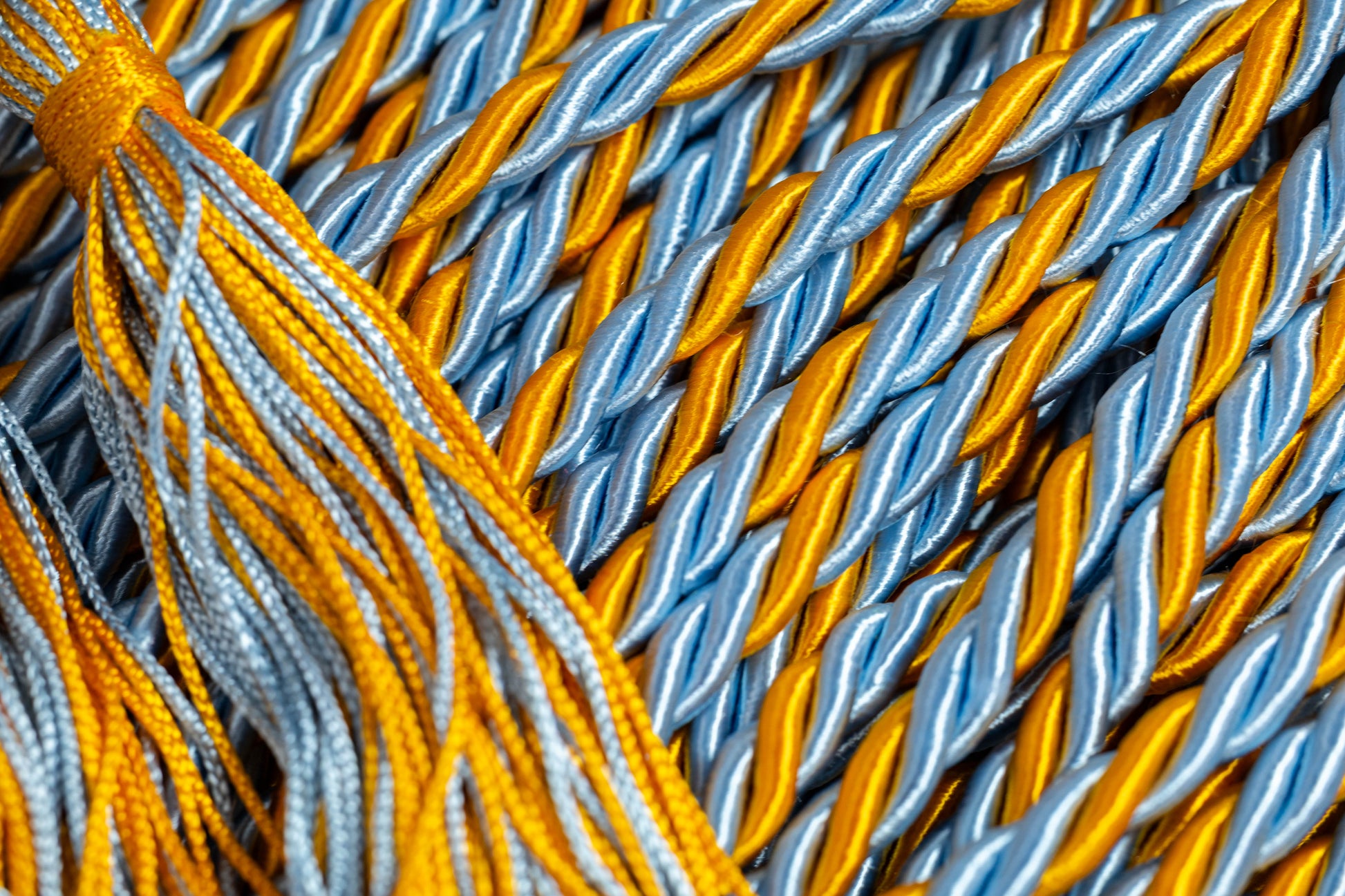 Apricot, Columbia Blue, Columbia Blue Graduation Honor Cord | Columbia University Blue