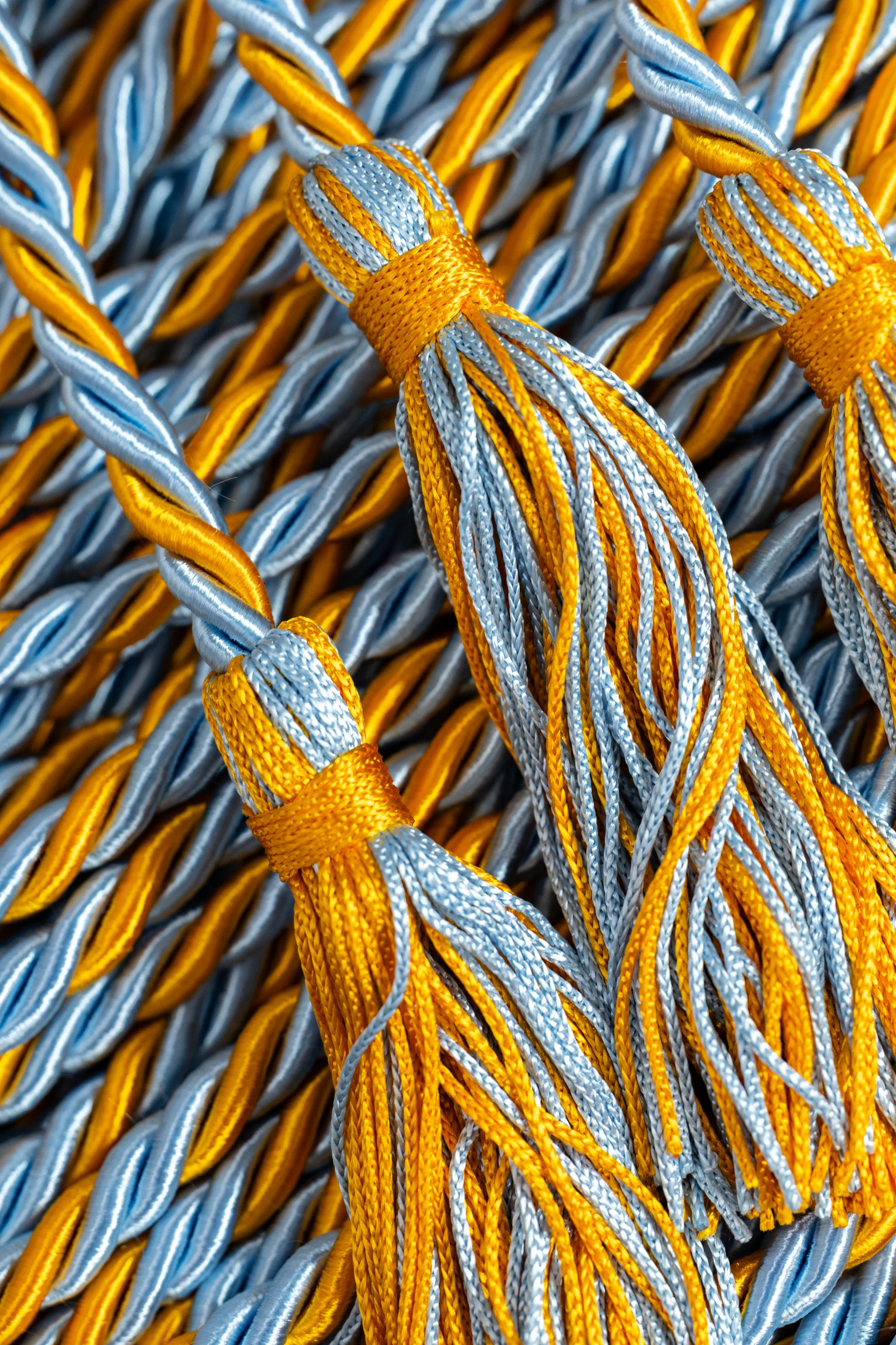 Apricot, Columbia Blue, Columbia Blue Graduation Honor Cord | Columbia University Blue
