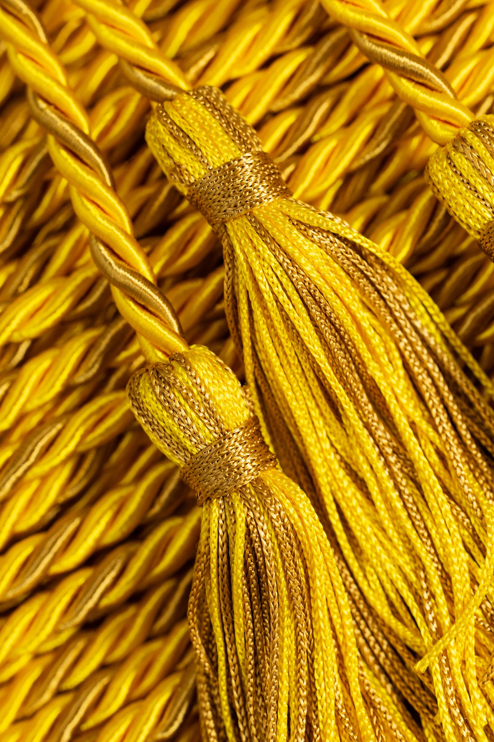 Gold, Gold, Old Gold Graduation cord, Honor Cord