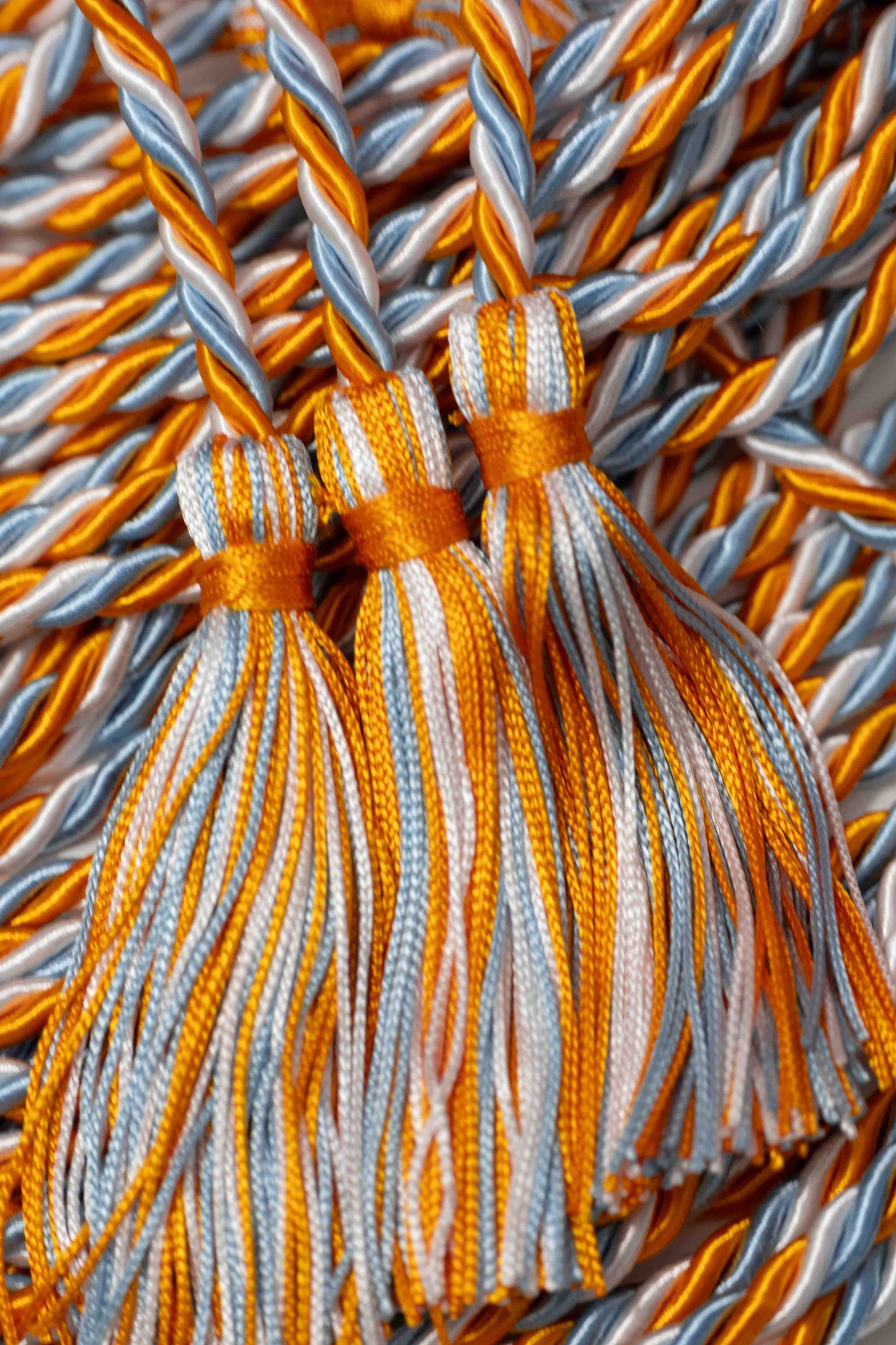 apricot light blue white graduation honor cord