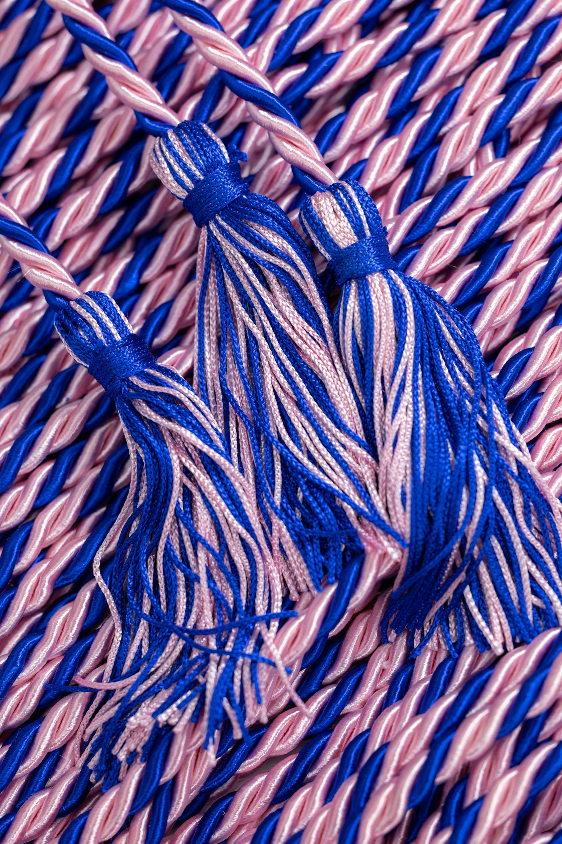 Pink, Pink, Royal Blue Graduation Honor Cord | Jack & Jill