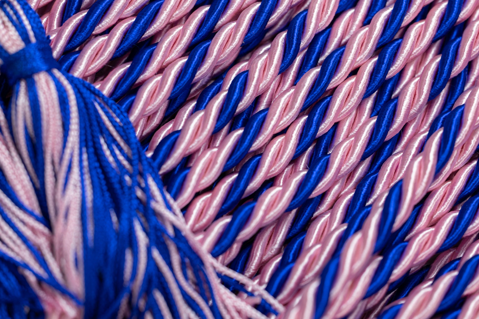 Pink, Pink, Royal Blue Graduation Honor Cord | Jack & Jill