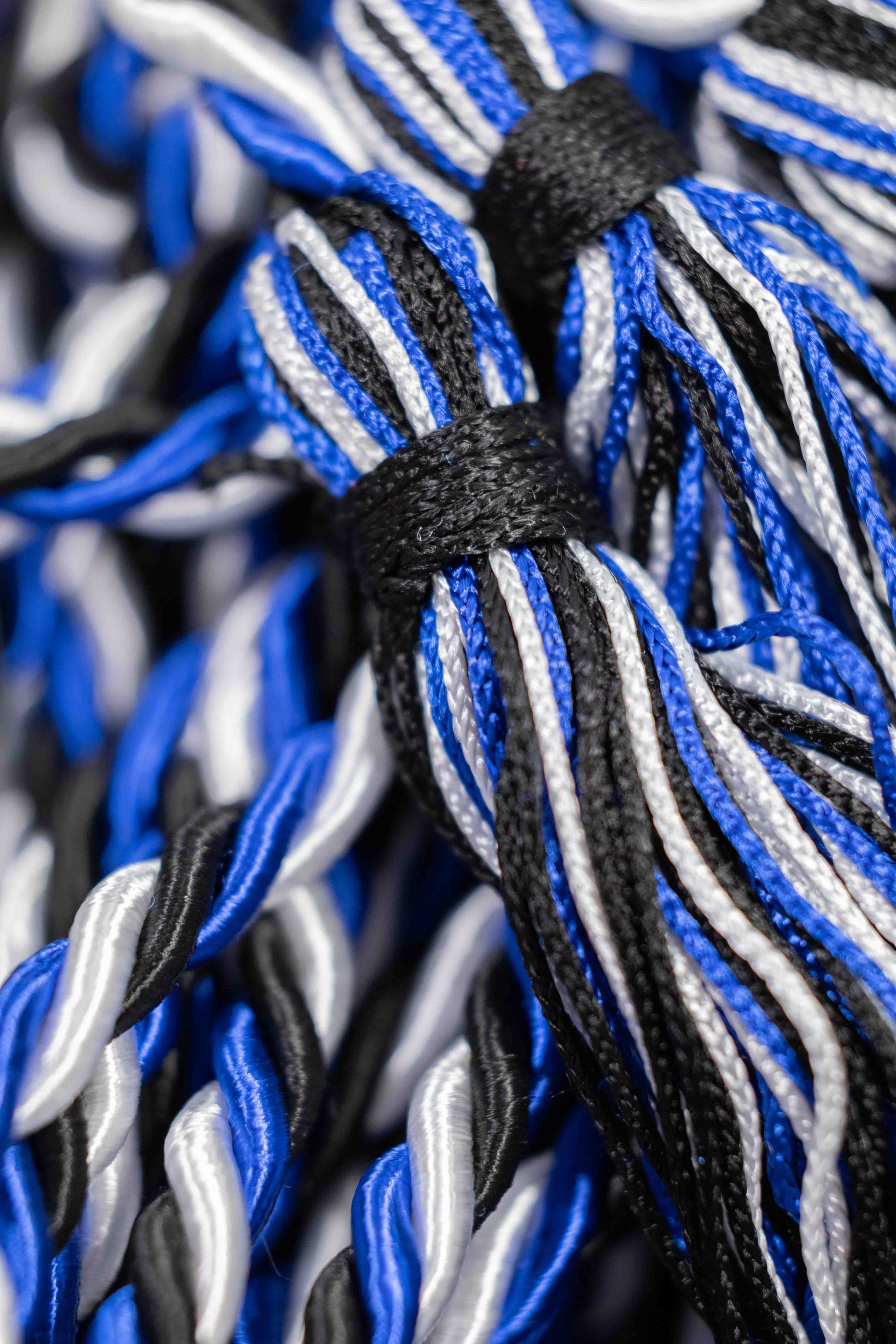 Black, Royal Blue, White Graduation Honor Cord, Twisted Cord