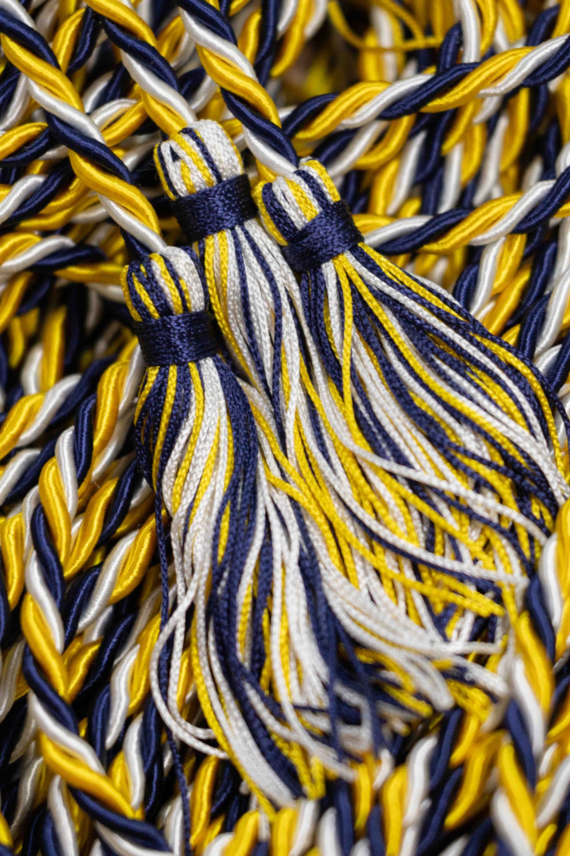 GOLD, NAVY, WHITE Graduation cord, Honor Cord