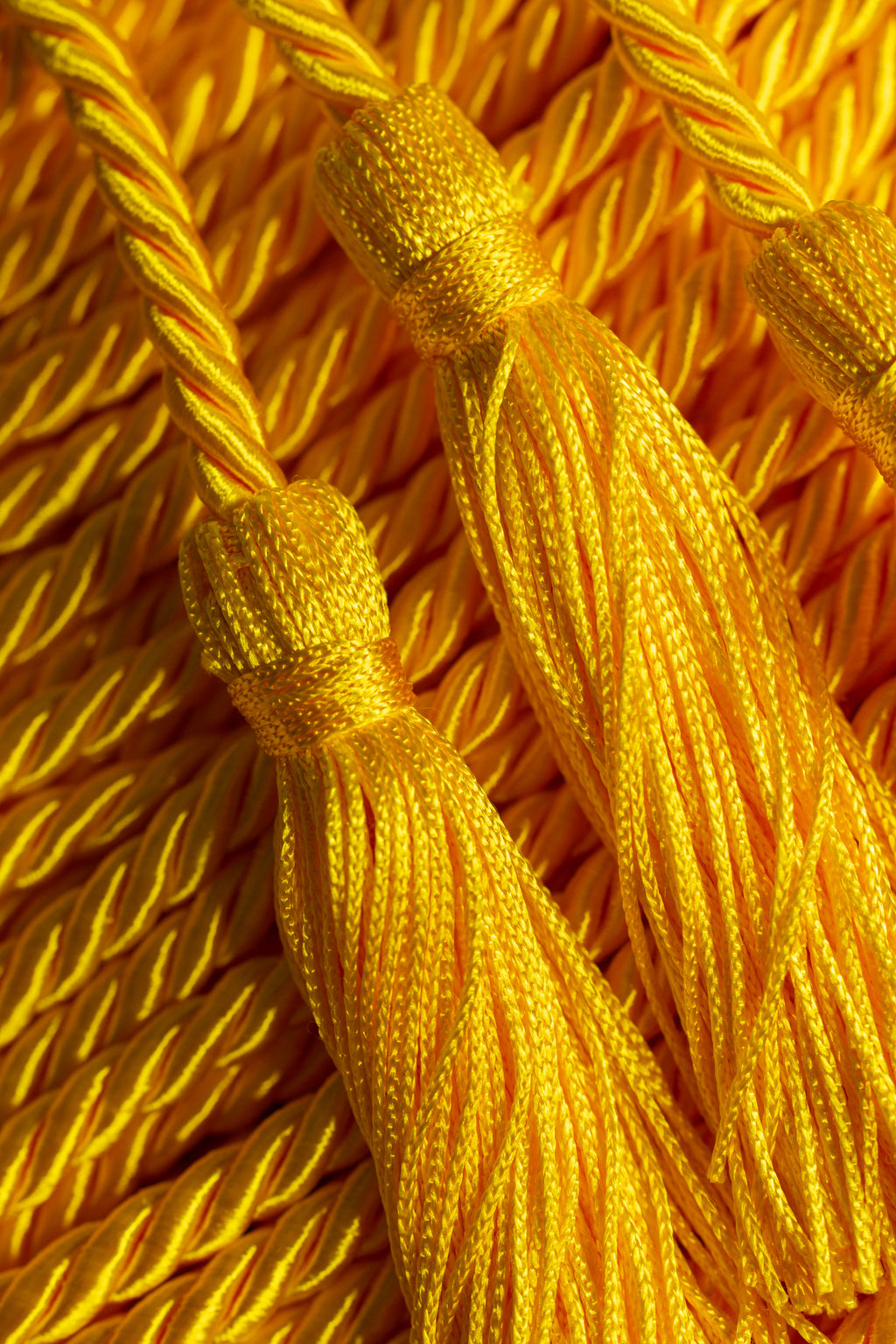 GOLD GRADUATION CORD, HONOR CORD SOLID