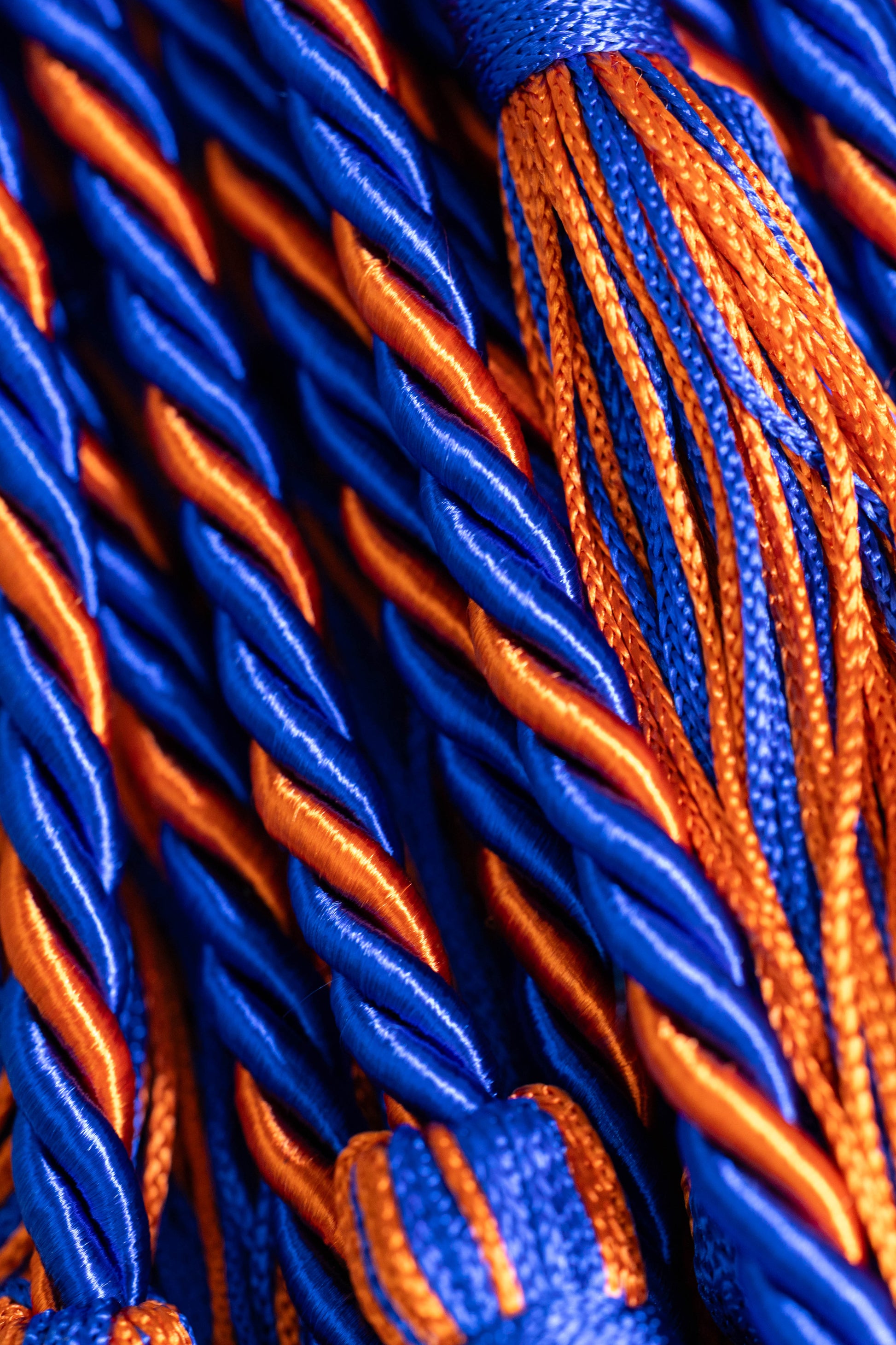 ROYAL BLUE, ROYAL BLUE, ORANGE GRADUATION CORD, HONOR CORD