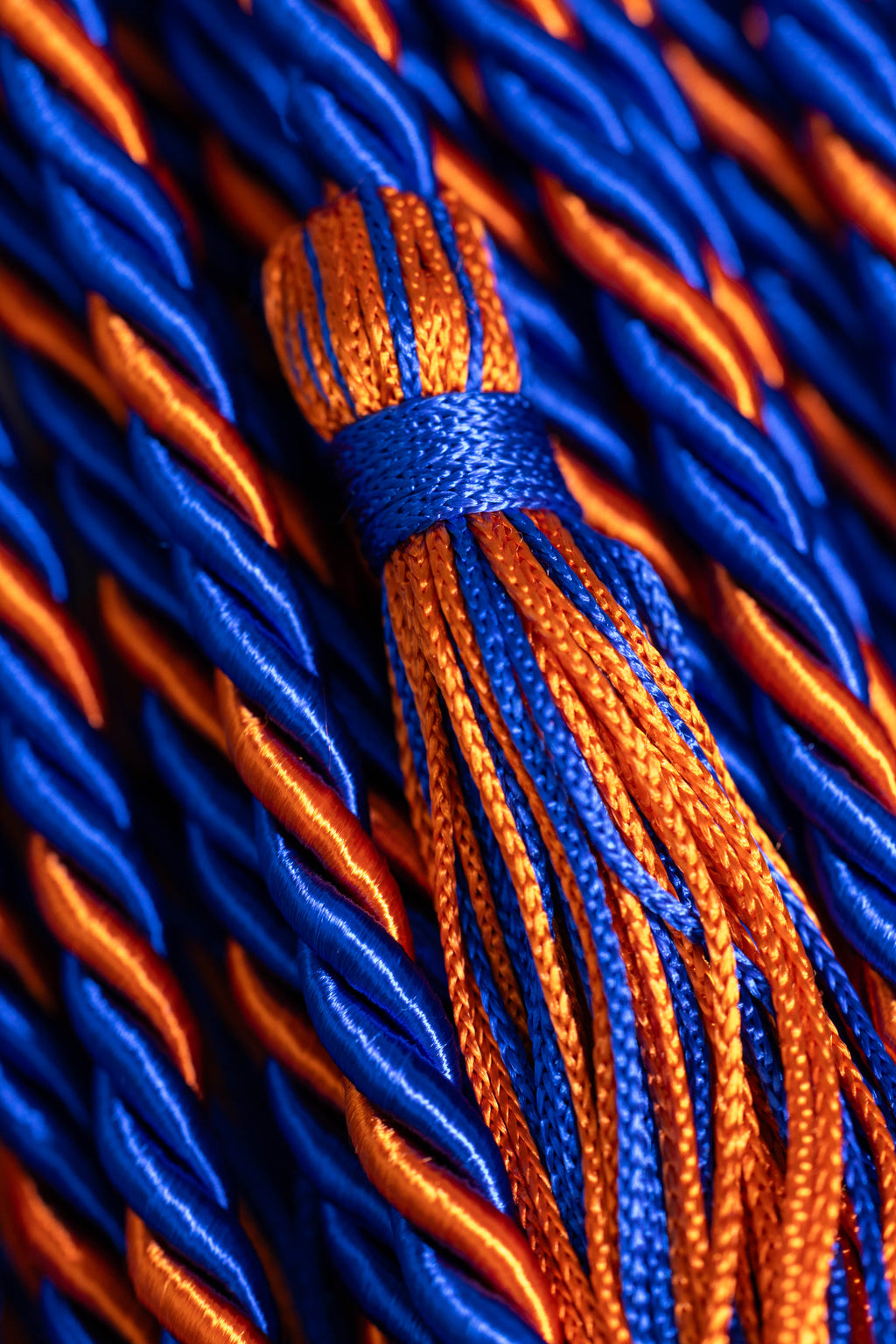 ROYAL BLUE, ROYAL BLUE, ORANGE GRADUATION CORD, HONOR CORD