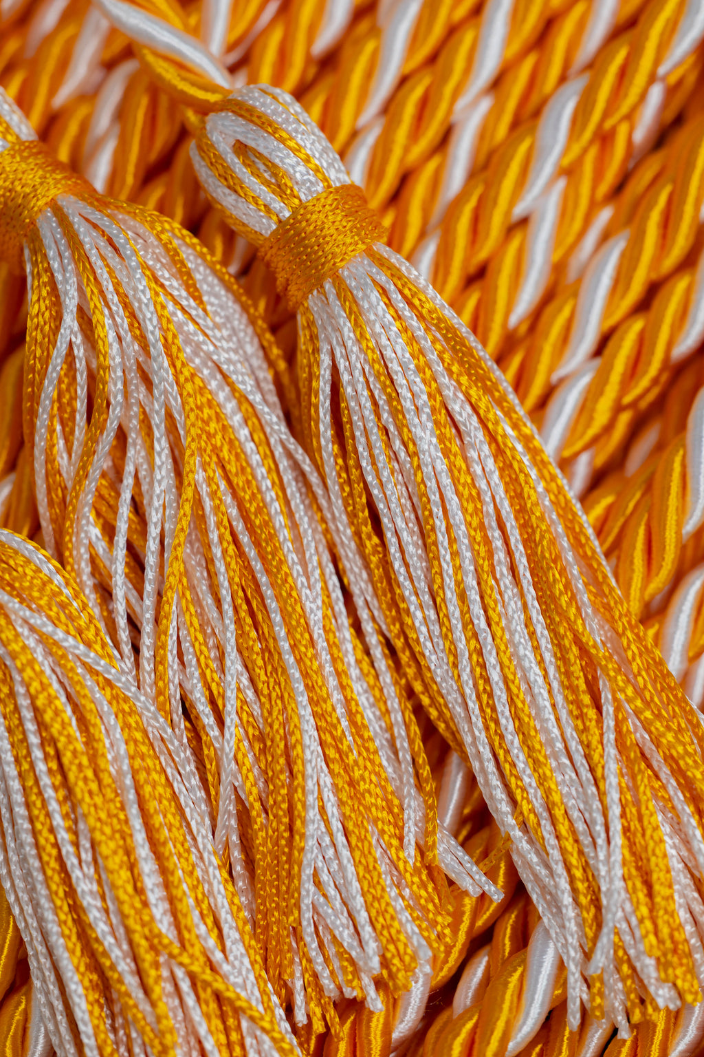 Apricot, Apricot, White Graduation Honor Cord