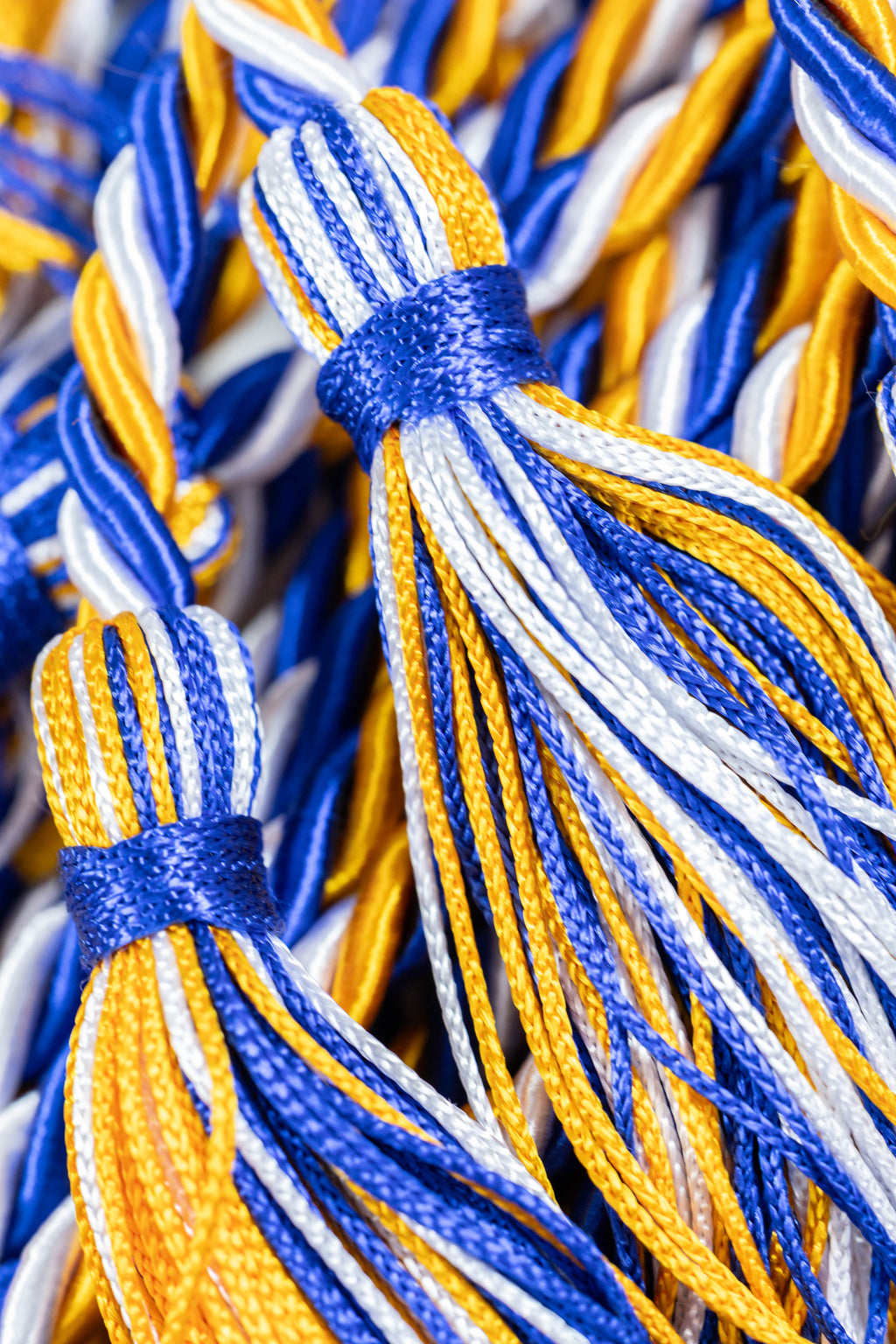 Apricot, Royal Blue, White Graduation Honor cord