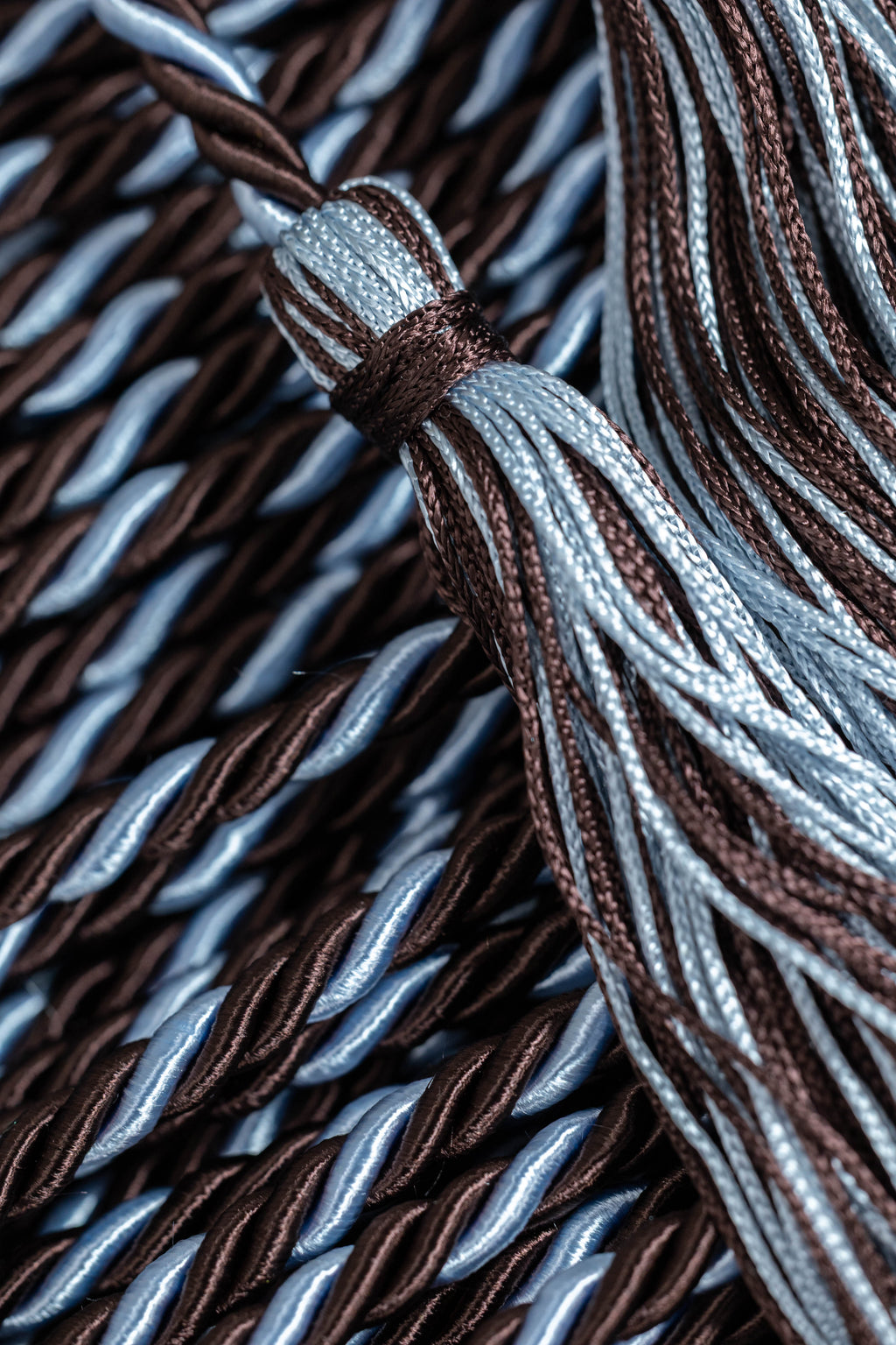 BROWN, BROWN, LIGHT BLUE GRADUATION CORD, HONOR CORD