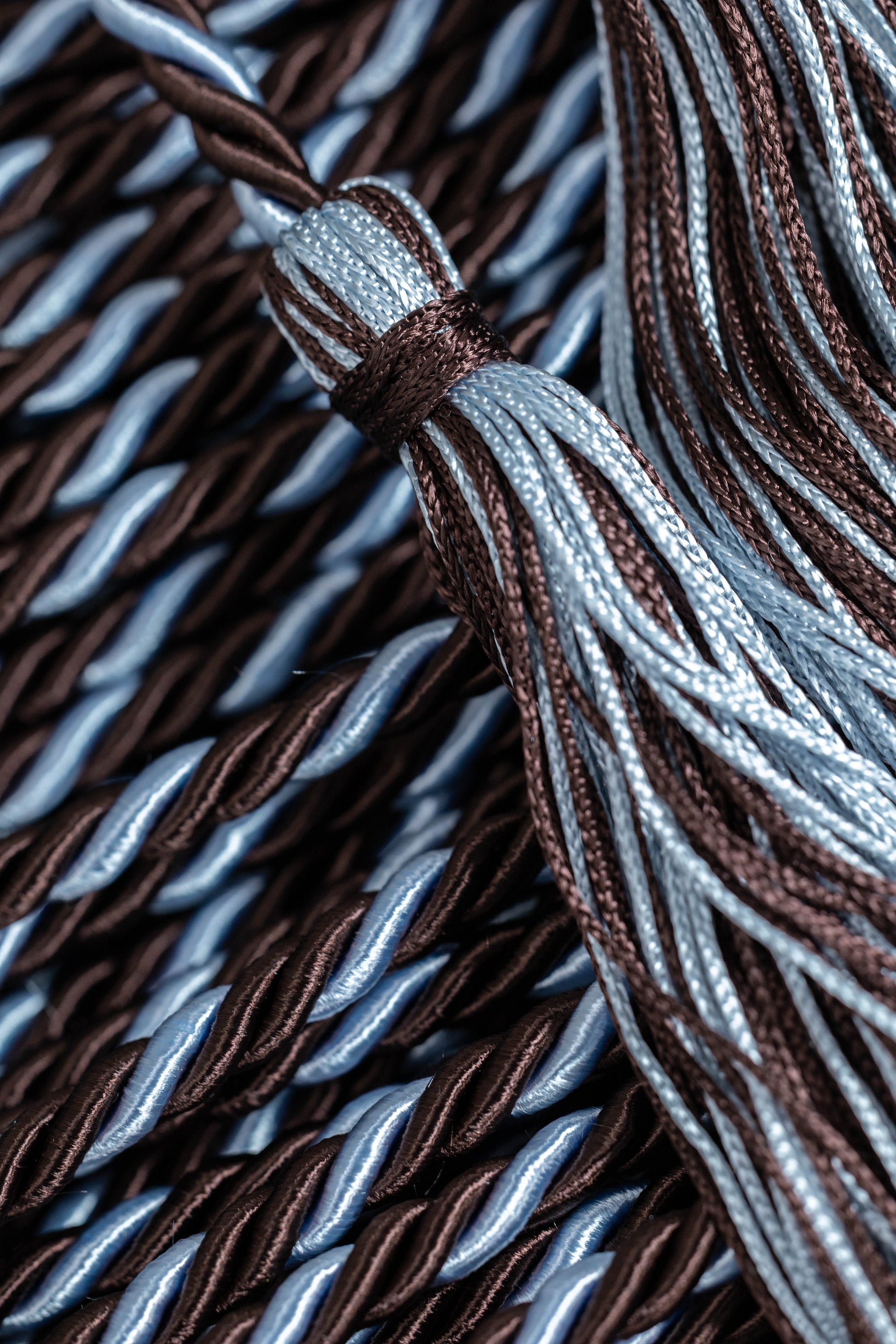 BROWN, BROWN, LIGHT BLUE GRADUATION CORD, HONOR CORD