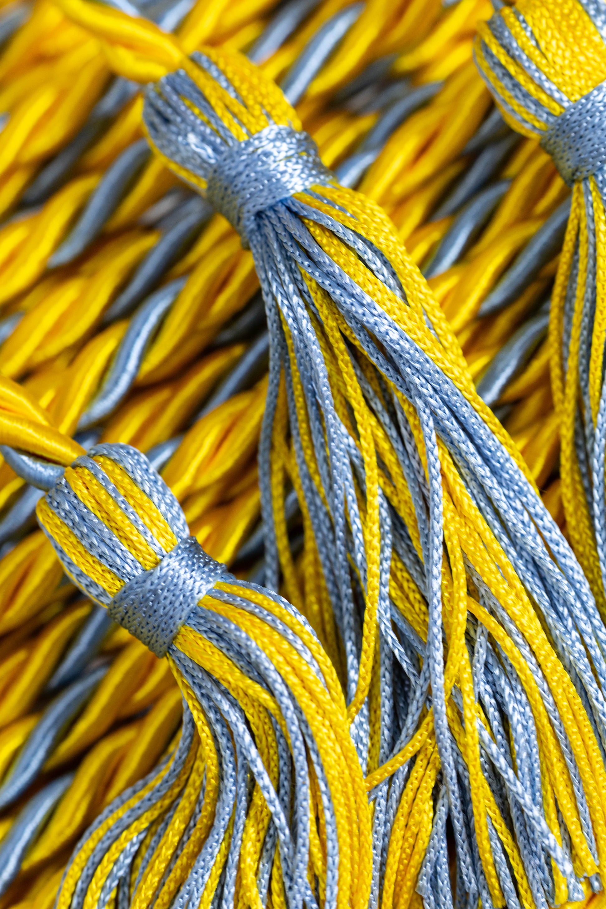 Gold, Gold, Columbia Blue Graduation Honor Cord | Columbia University Blue (Copy)