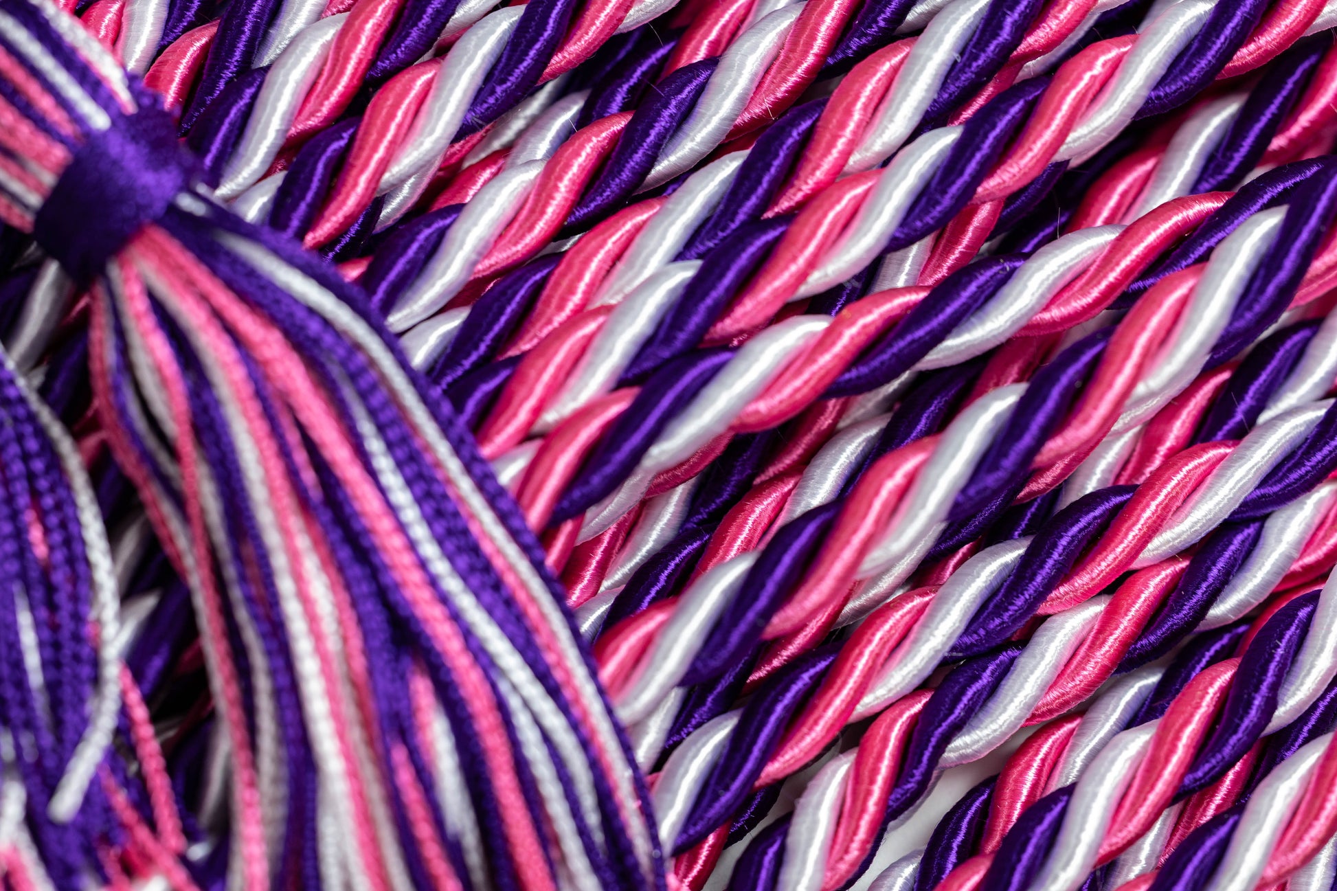 HOT PINK, PURPLE, WHITE GRADUATION CORD, HONOR CORD