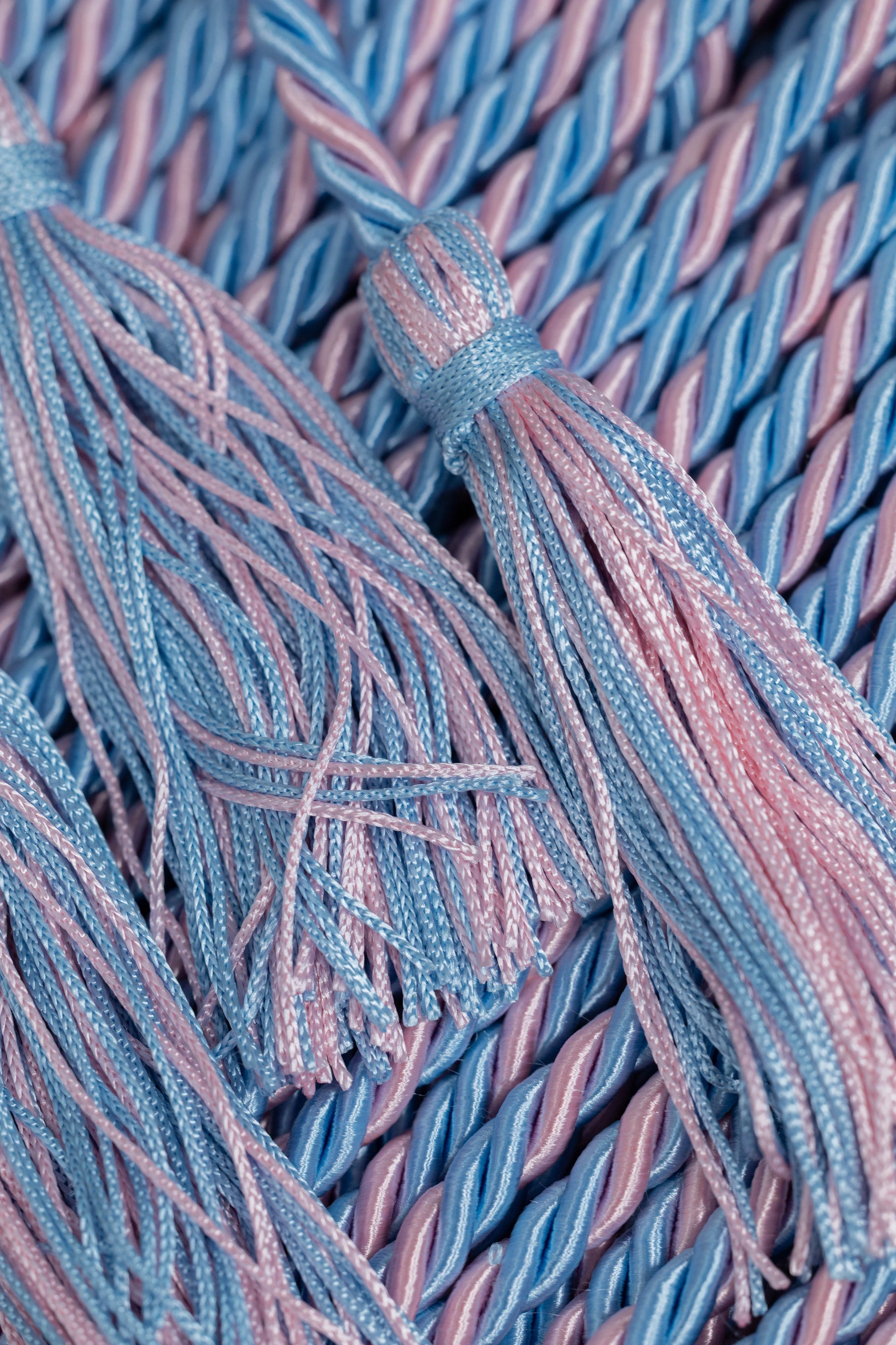 LIGHT BLUE, LIGHT BLUE, PINK GRADUATION CORD, HONOR CORD