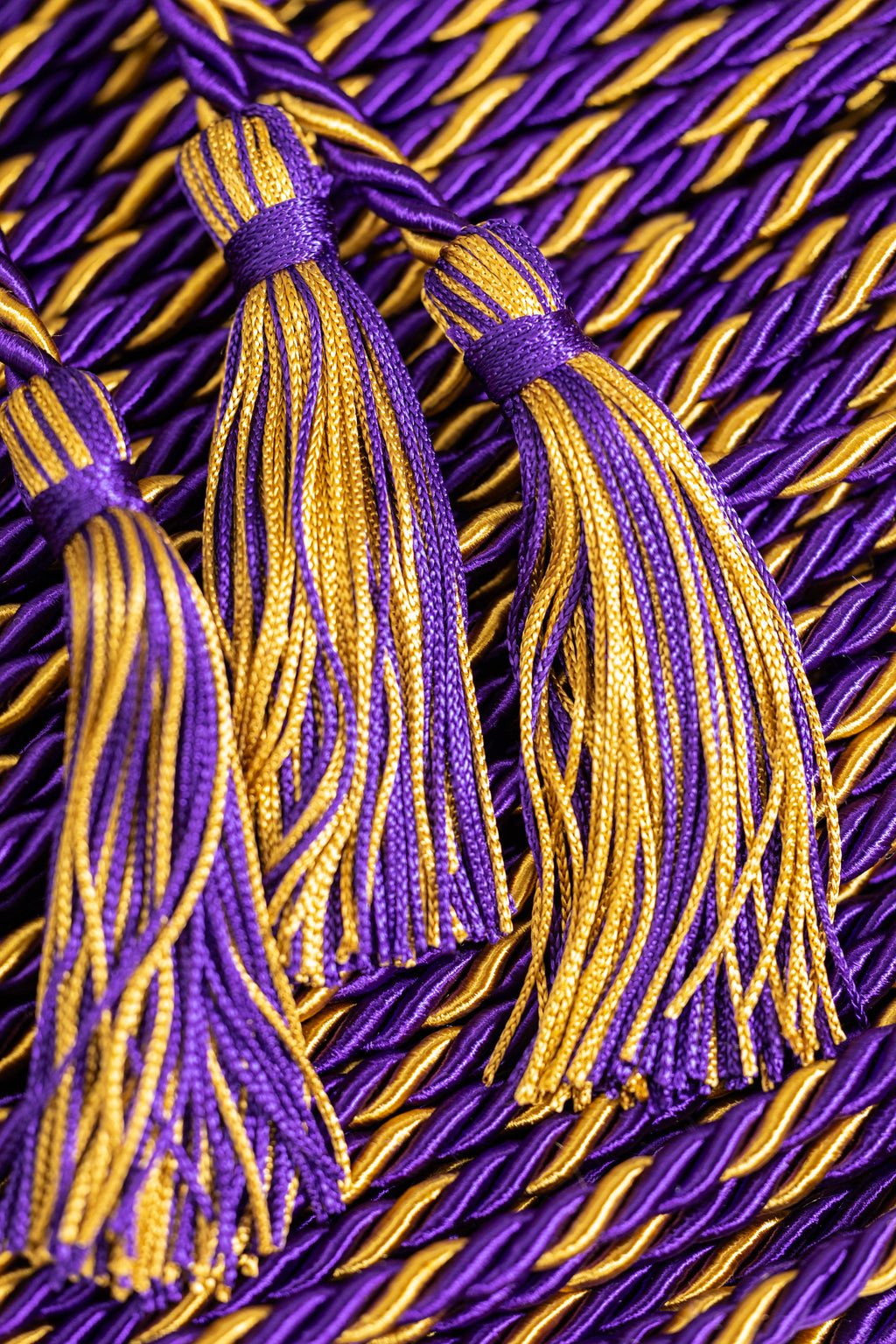 Purple, Purple, Old Gold Graduation cord, Honor Cord
