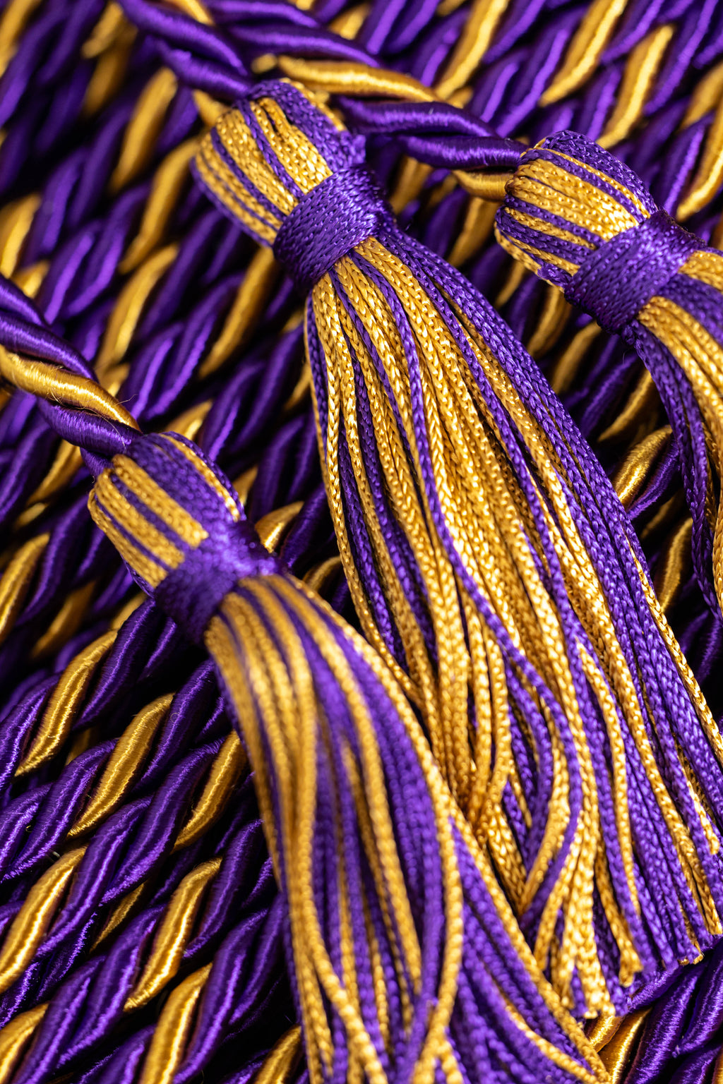 Purple, Purple, Old Gold Graduation cord, Honor Cord