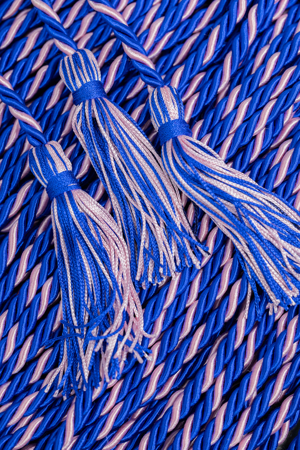 Royal Blue, Royal Blue, Pink Graduation Honor Cord | Jack & Jill