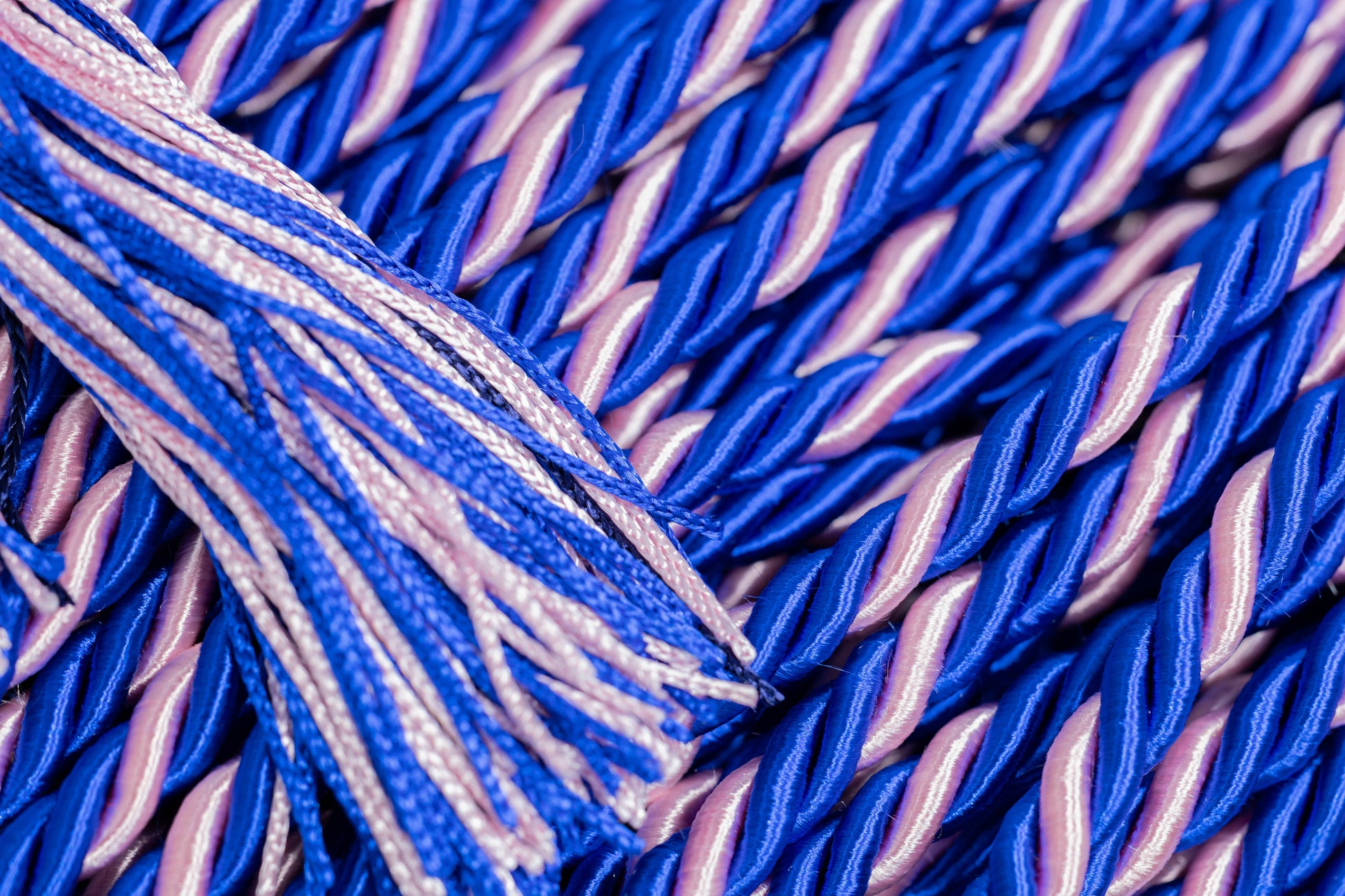 Royal Blue, Royal Blue, Pink Graduation Honor Cord | Jack & Jill