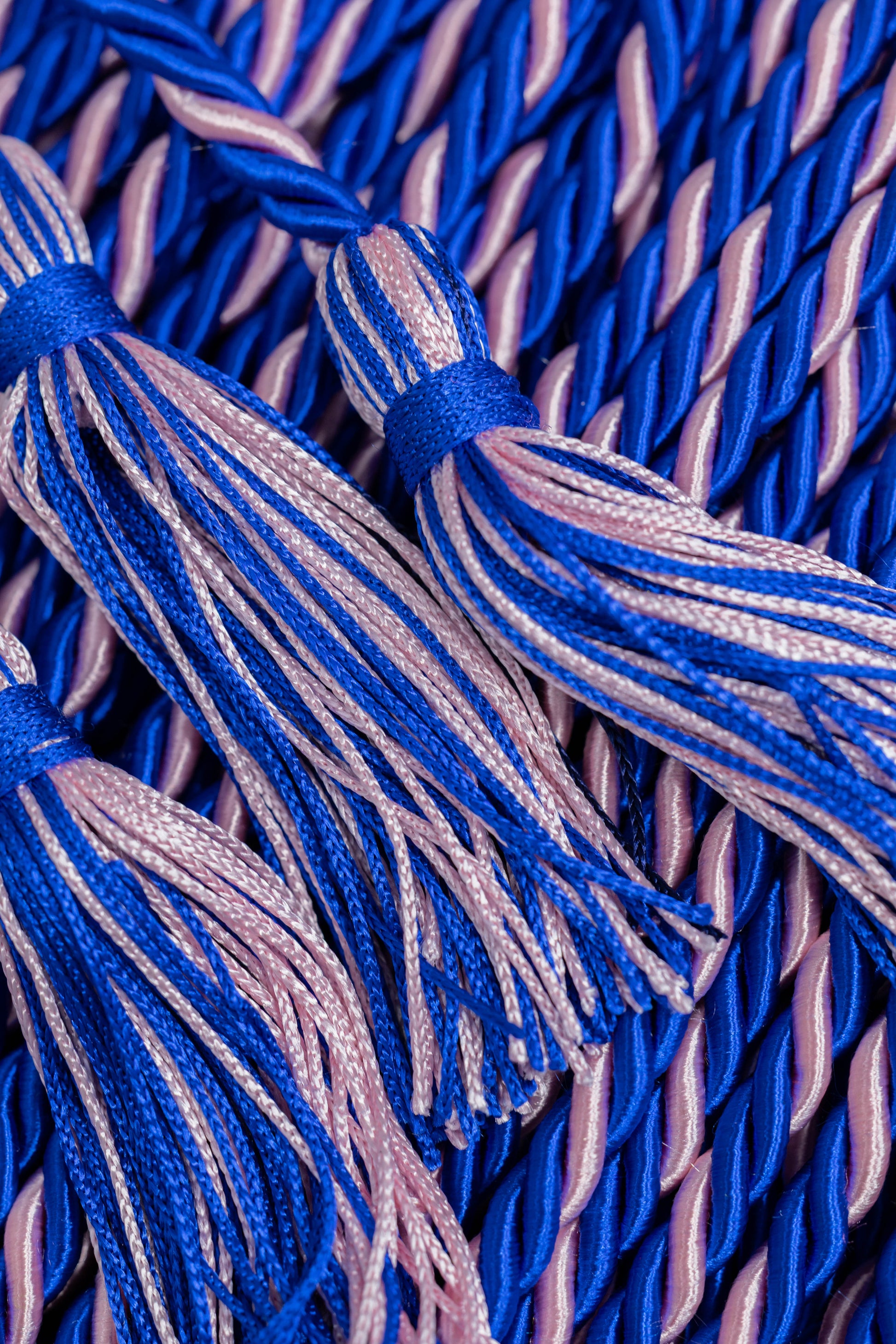 Royal Blue, Royal Blue, Pink Graduation Honor Cord | Jack & Jill