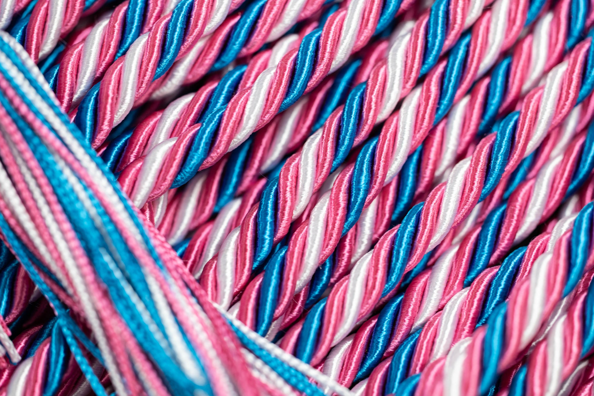 Trans Pride, Peacock, Hot Pink, White, Hot Pink GRADUATION CORD, HONOR CORD