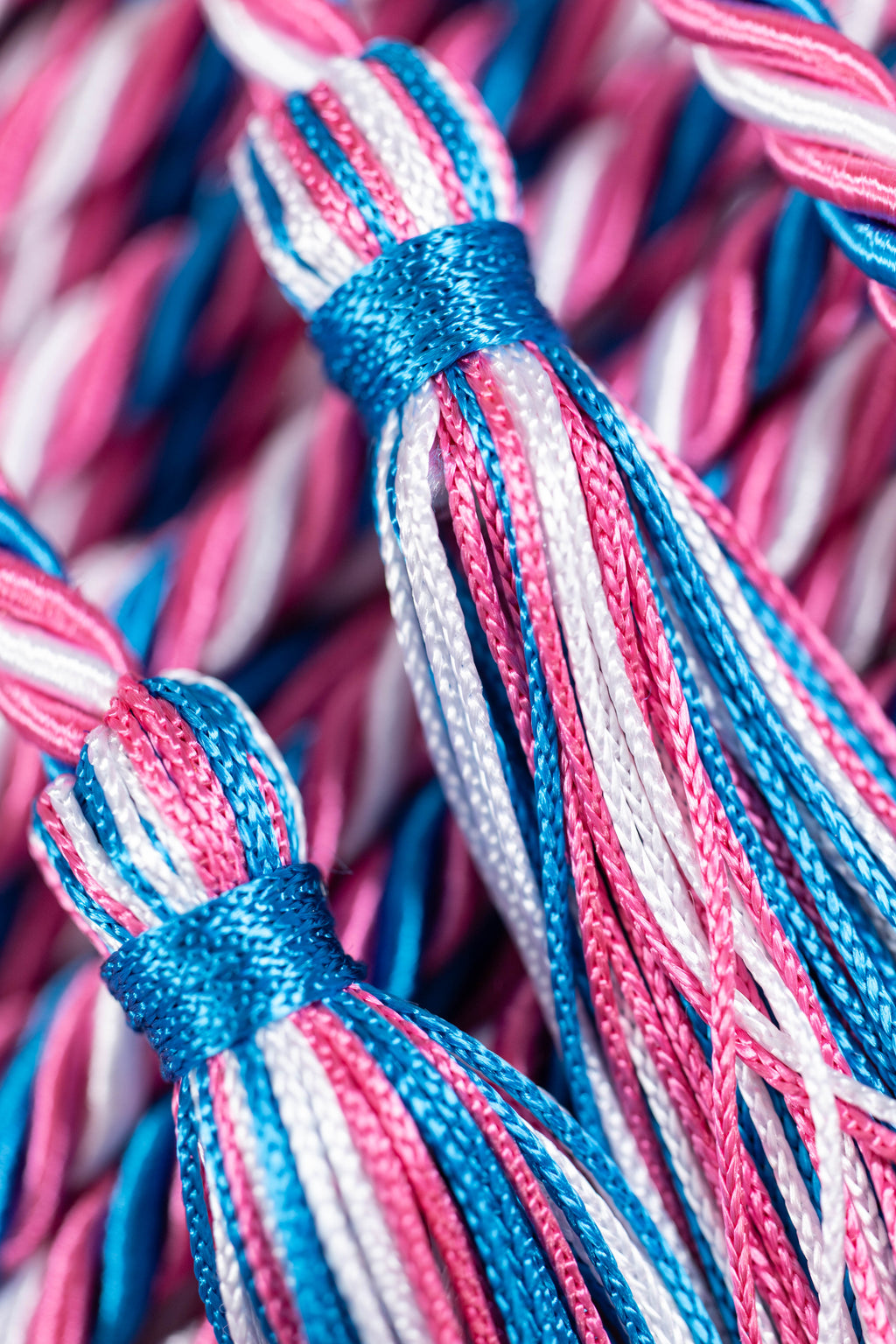 Trans Pride, Peacock, Hot Pink, White, Hot Pink GRADUATION CORD, HONOR CORD