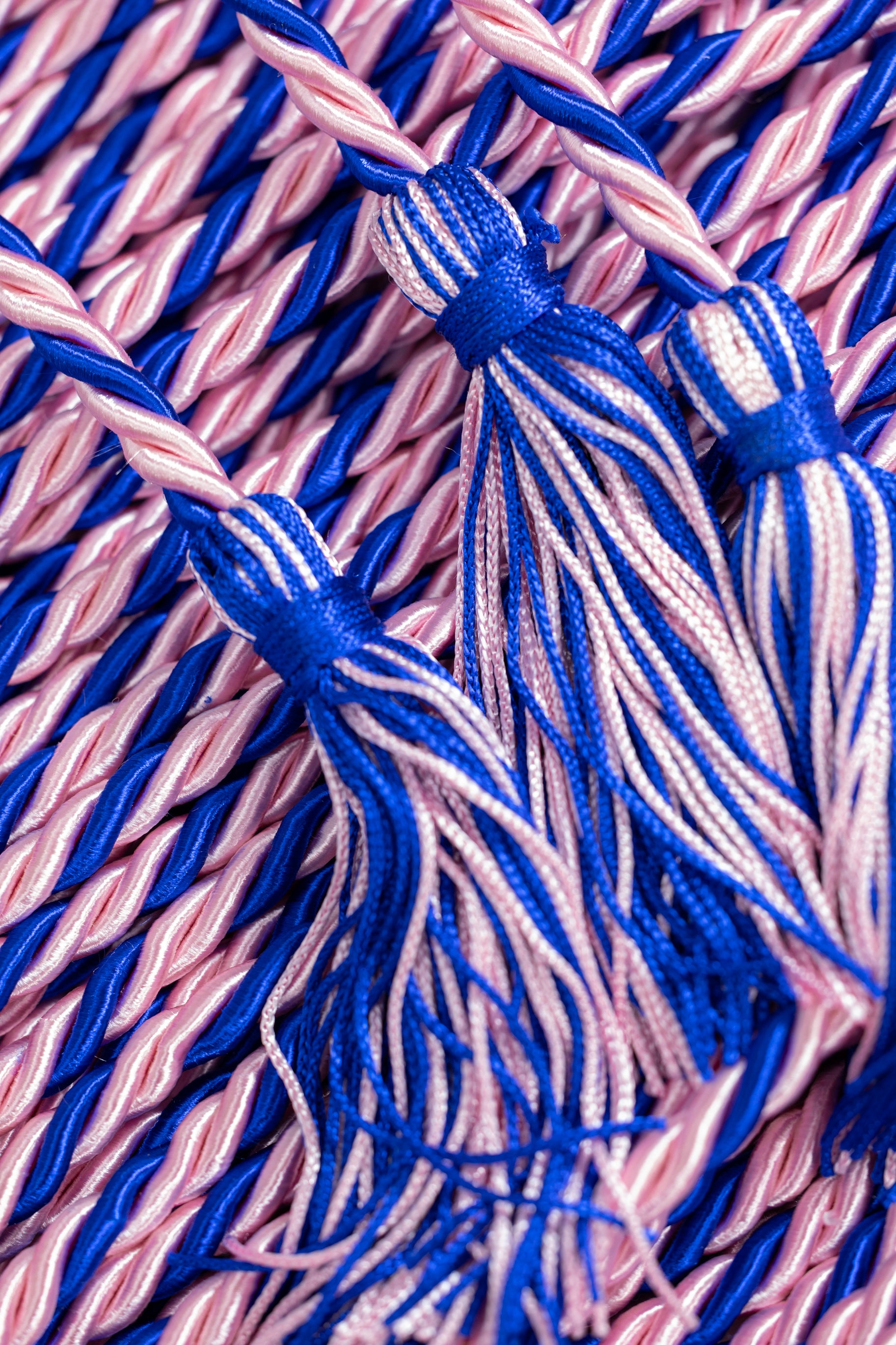 Pink, Pink, Royal Blue Graduation Honor Cord | Jack & Jill