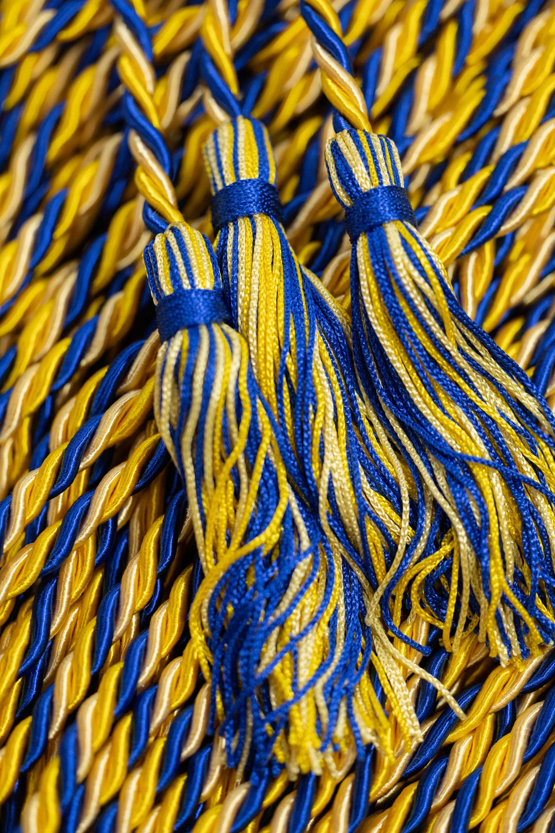 GOLD, LEMON, ROYAL BLUE GRADUATION CORD, HONOR CORD