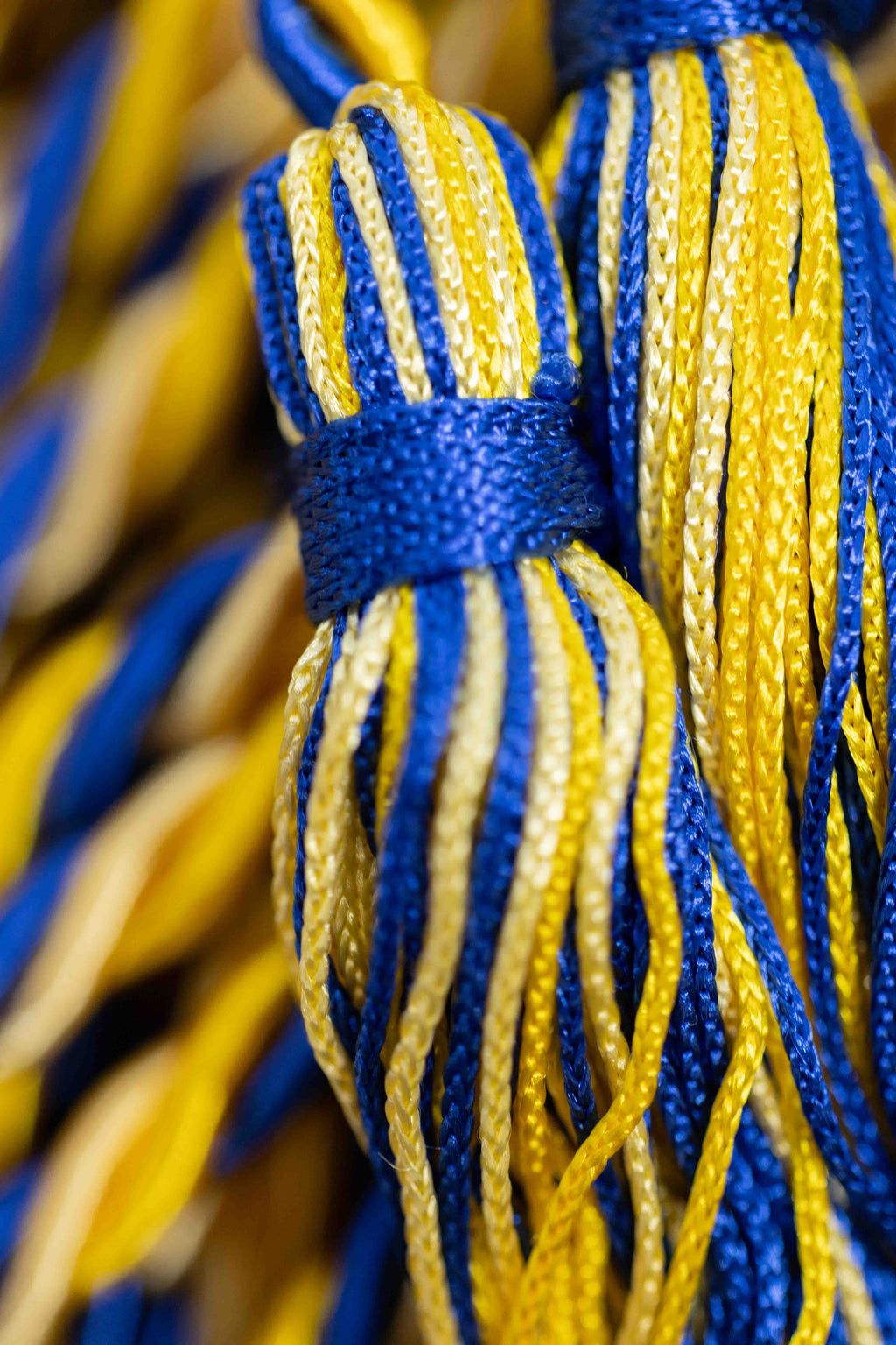 GOLD, LEMON, ROYAL BLUE GRADUATION CORD, HONOR CORD