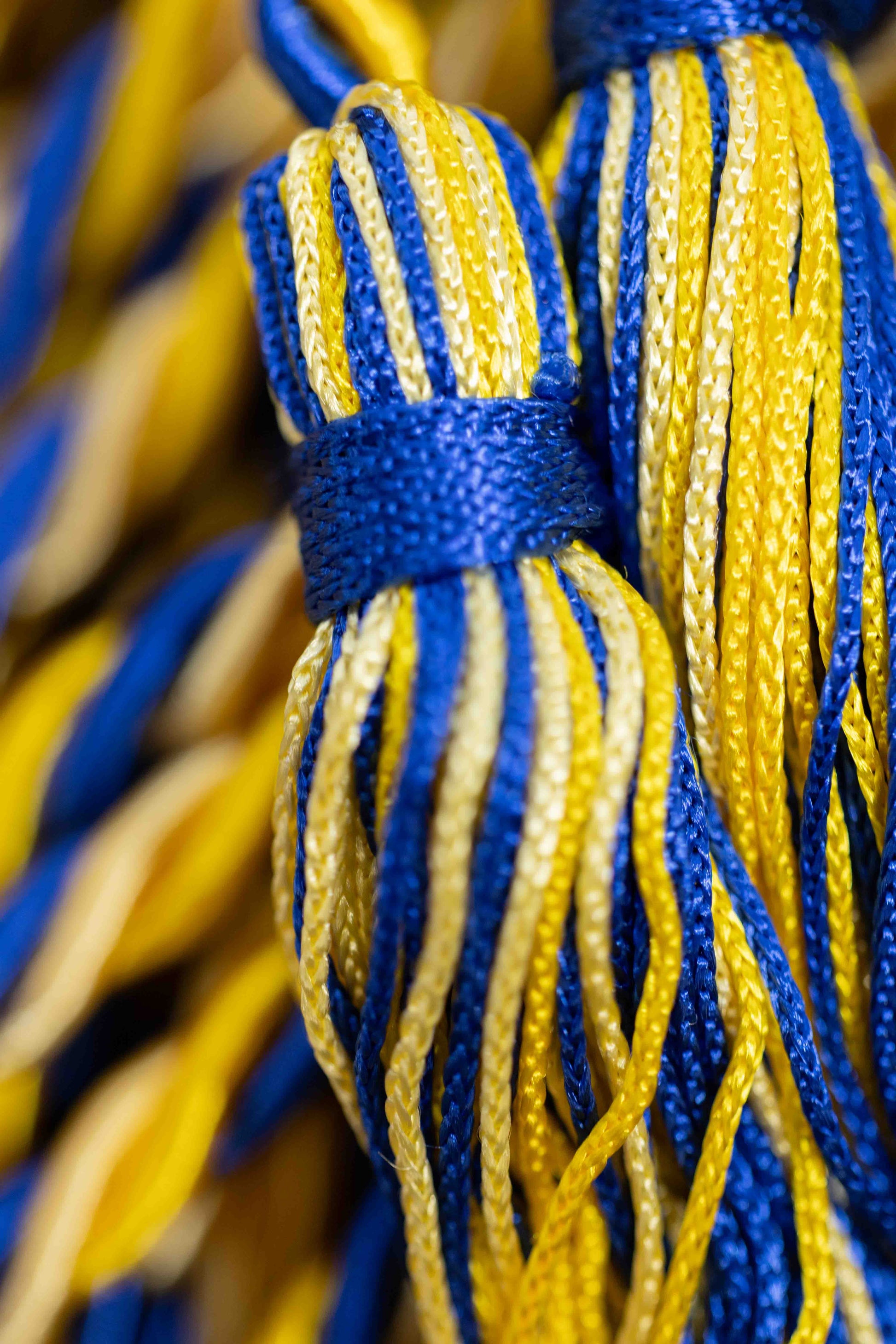 GOLD, LEMON, ROYAL BLUE GRADUATION CORD, HONOR CORD