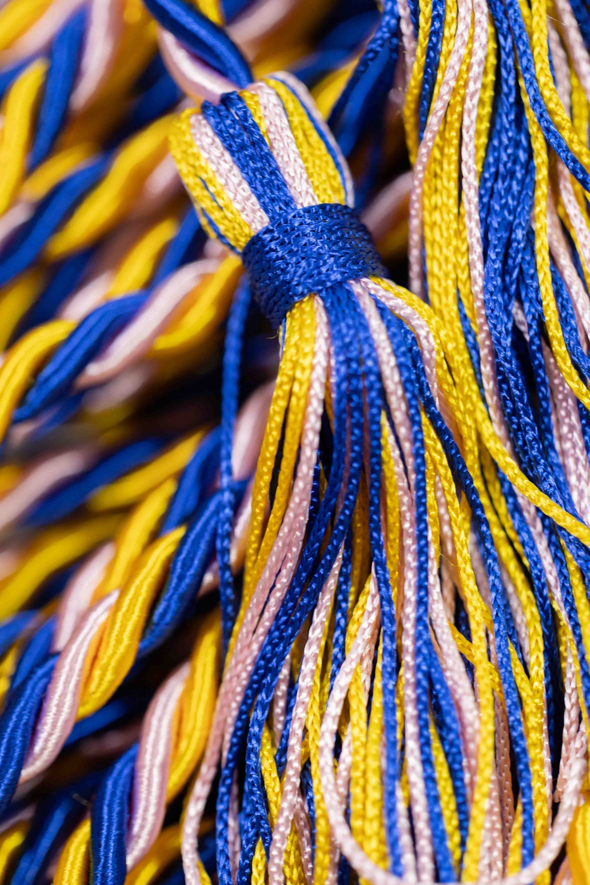 GOLD, PINK, ROYAL BLUE GRADUATION CORD, HONOR CORD