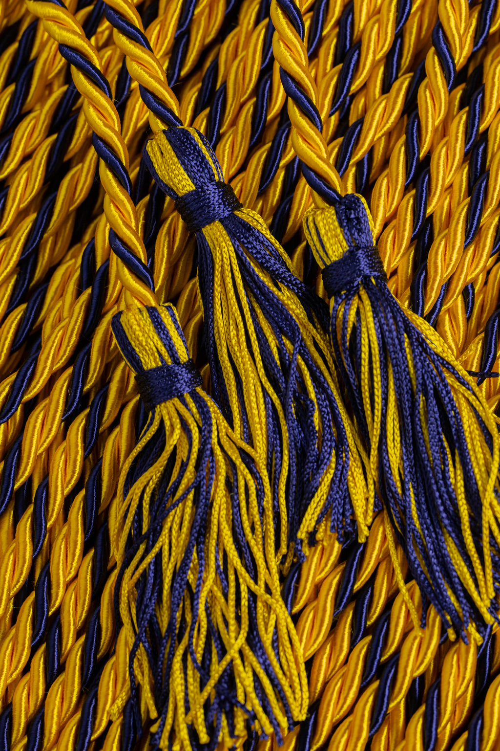 Gold, Gold, Navy Graduation cord, Honor Cord
