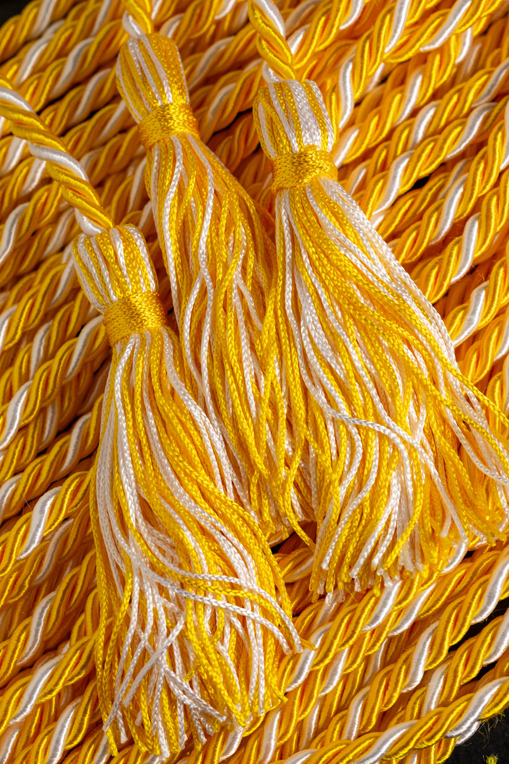 Gold, Gold, White Graduation Cord, Honor Cord