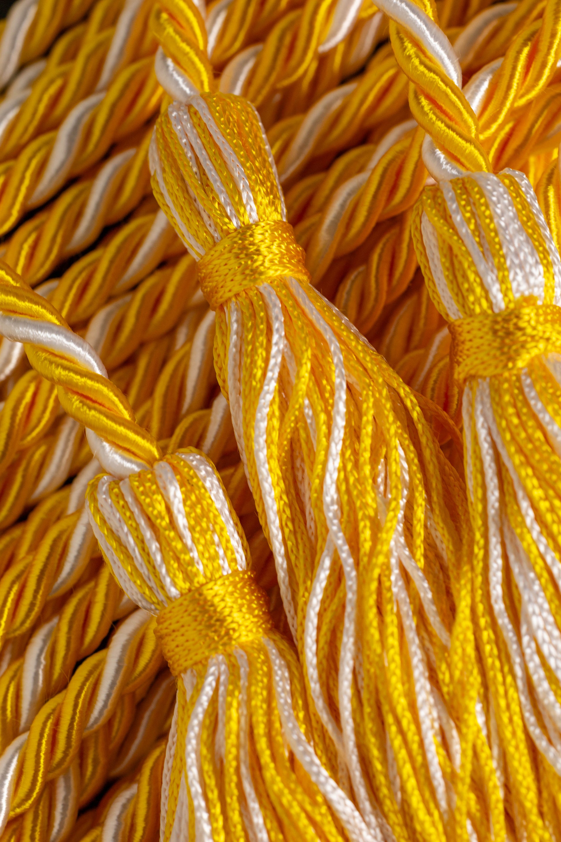 Gold, Gold, White Graduation Cord, Honor Cord