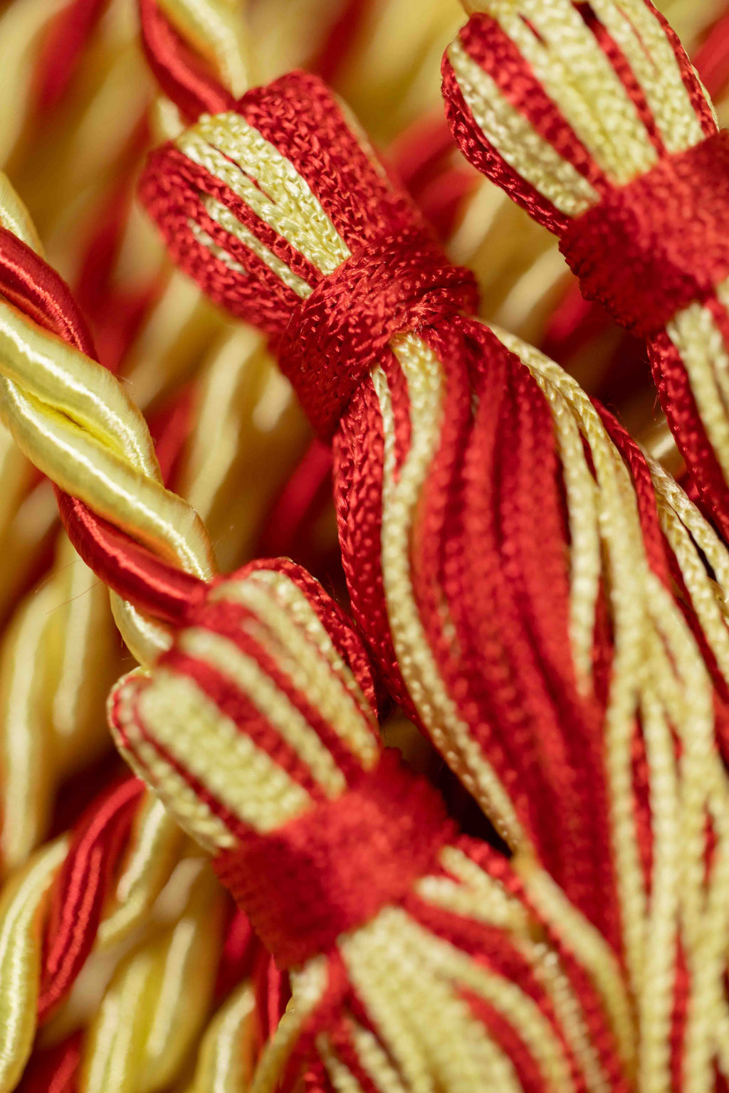 LEMON, LEMON, RED GRADUATION CORD, HONOR CORD