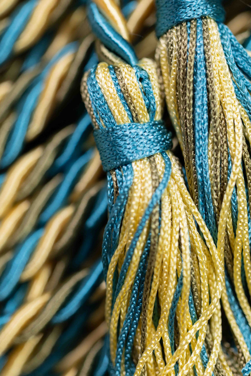 LEMON, SAGE (OLIVE), TEAL GRADUATION CORD, HONOR CORD