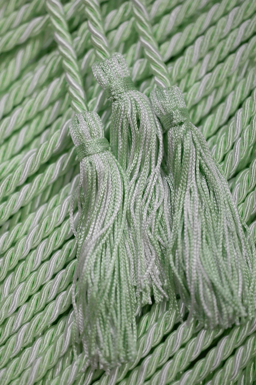 MINT, MINT,  WHITE GRADUATION CORD, HONOR CORD