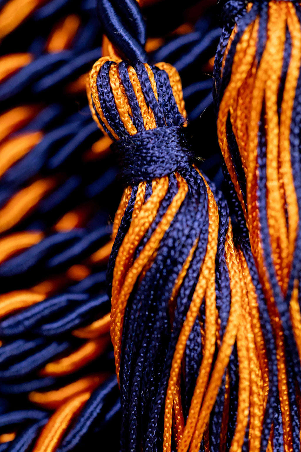 NAVY, NAVY, ORANGE GRADUATION CORD, HONOR CORD