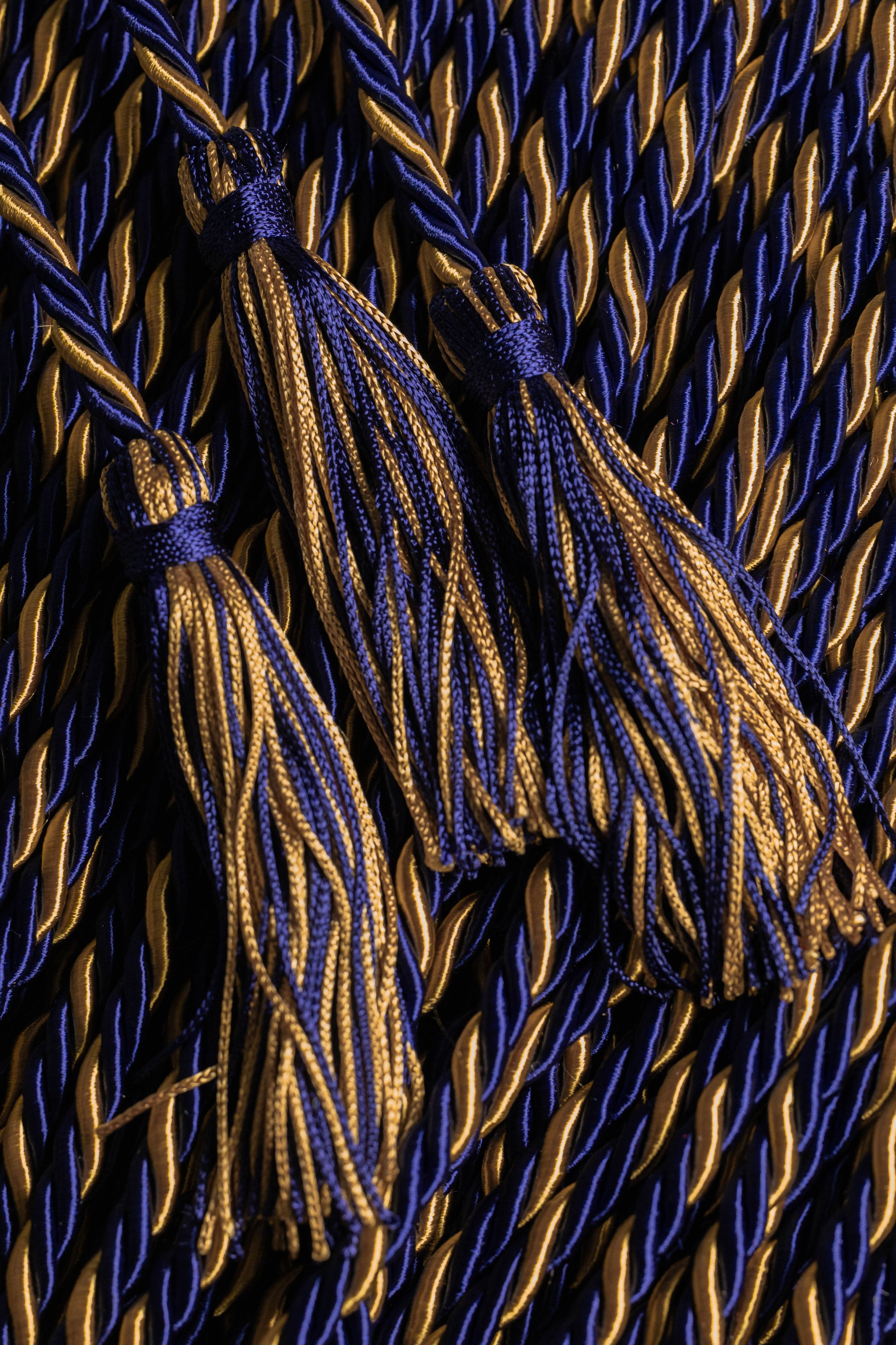NAVY, NAVY, OLD GOLD GRADUATION CORD, HONOR CORD