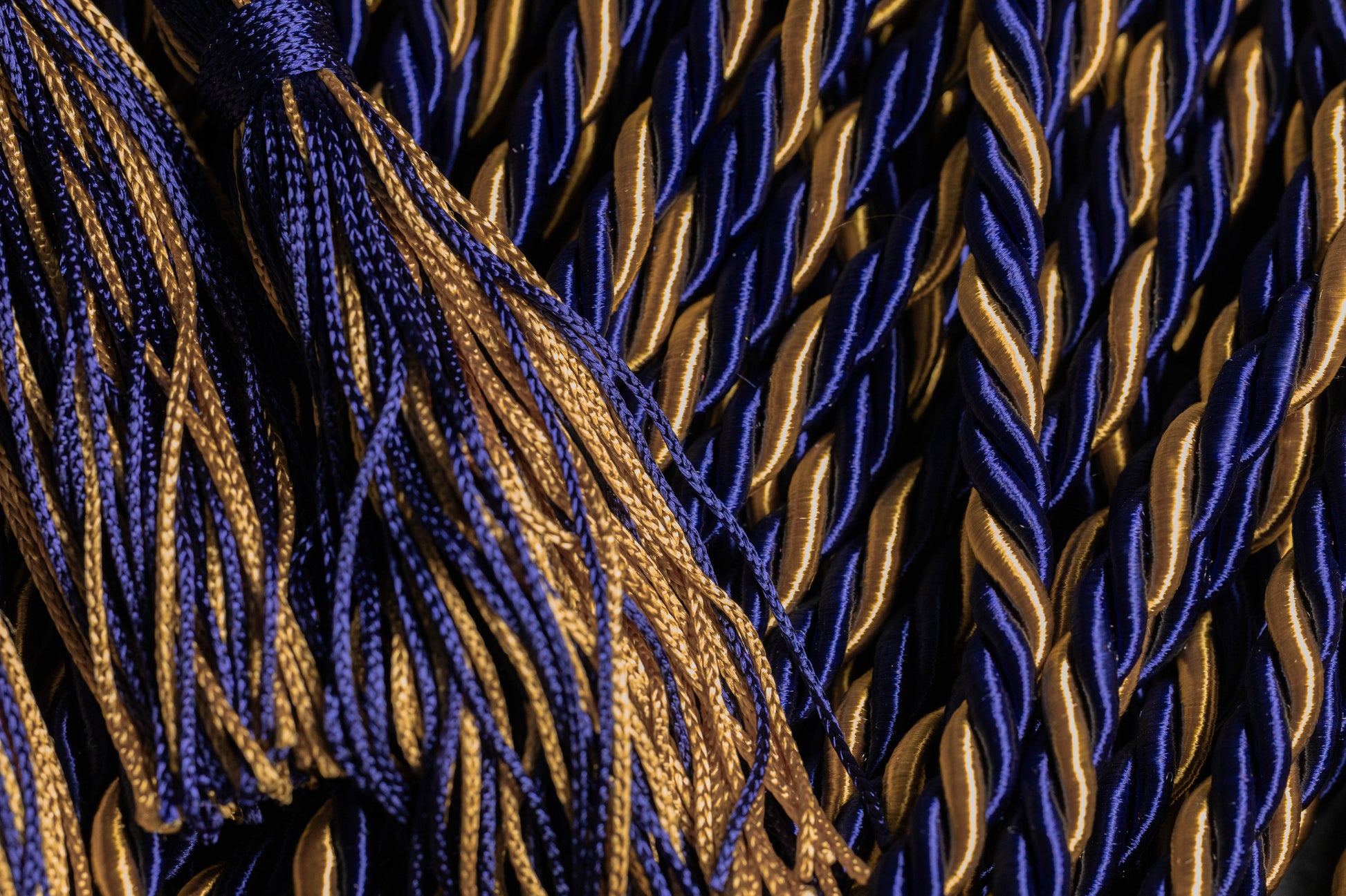 NAVY, NAVY, OLD GOLD GRADUATION CORD, HONOR CORD