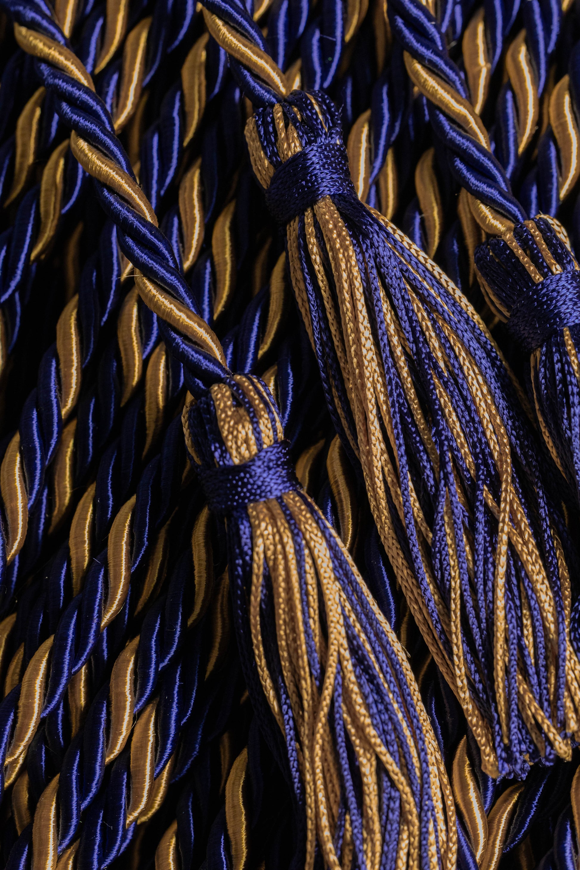 NAVY, NAVY, OLD GOLD GRADUATION CORD, HONOR CORD