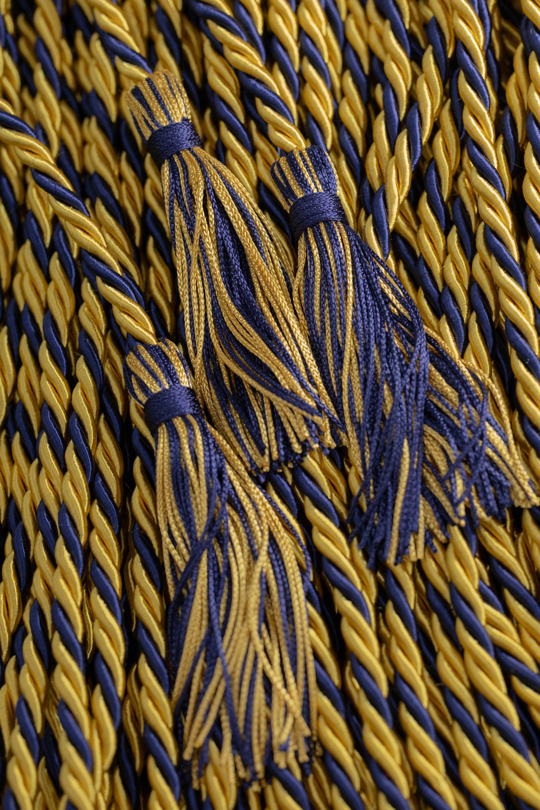 OLD GOLD, OLD GOLD, NAVY GRADUATION CORD, HONOR CORD